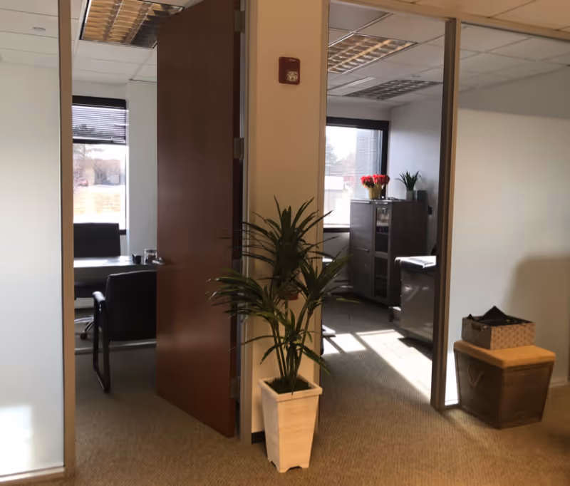 Indoor office area with doorway, tall potted plant, and a cabinet with flowers in back.