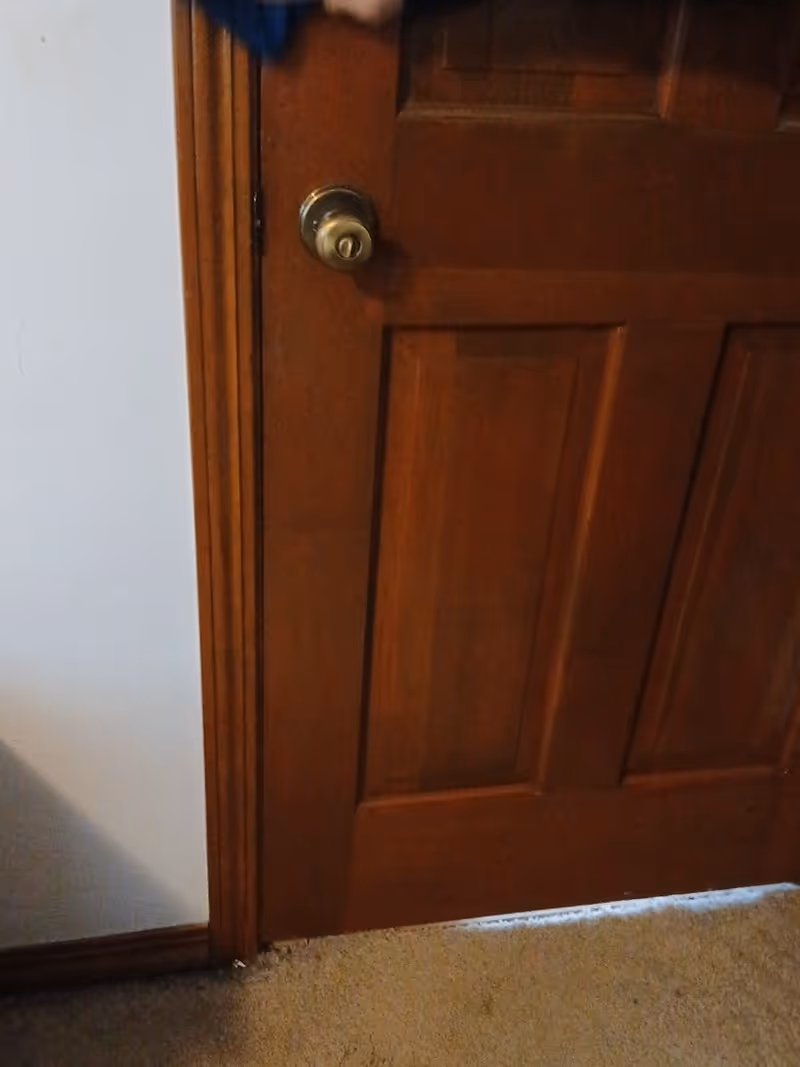 Interior view of a brown wooden door with a metal knob and carpeted floor.