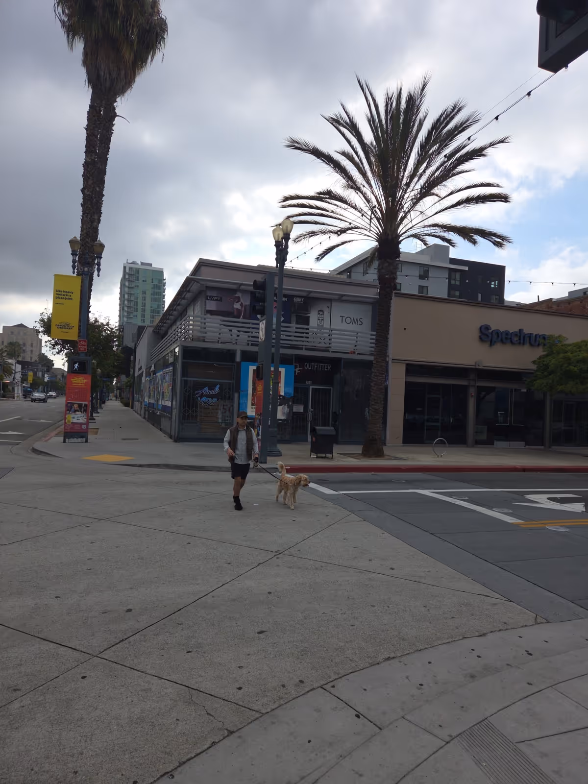 Person walking a dog along a city street with palm trees and storefronts.