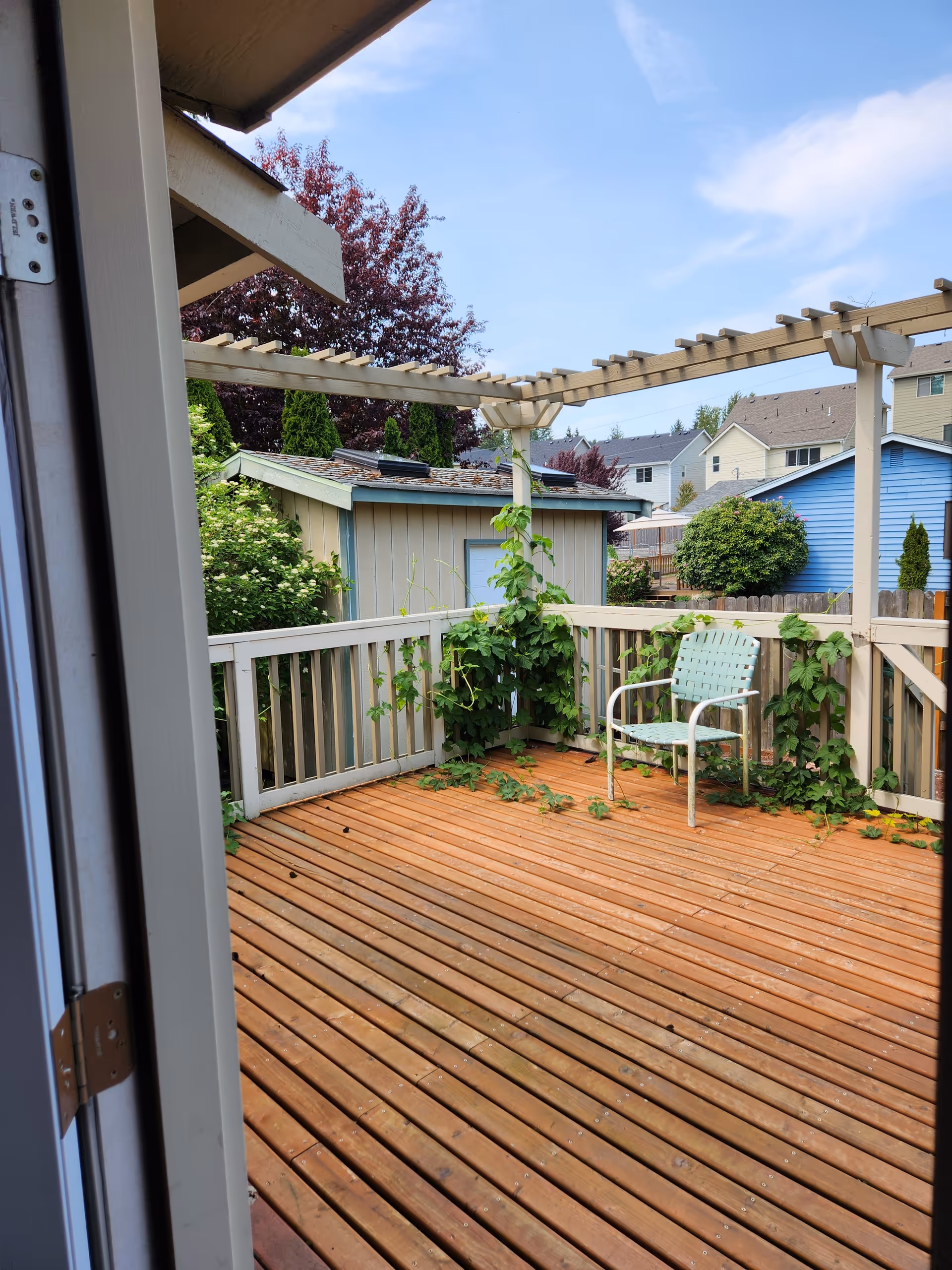 Wooden deck with vines, railing, pergola, and a metal chair in a suburban yard.