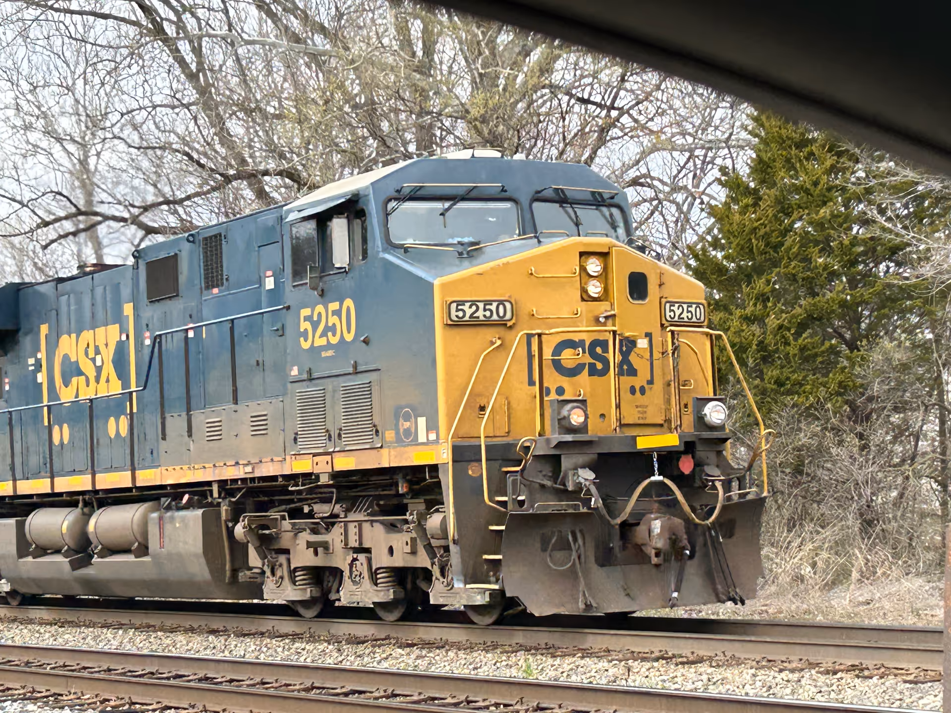 Blue and yellow CSX locomotive on railroad tracks beside leafless trees.