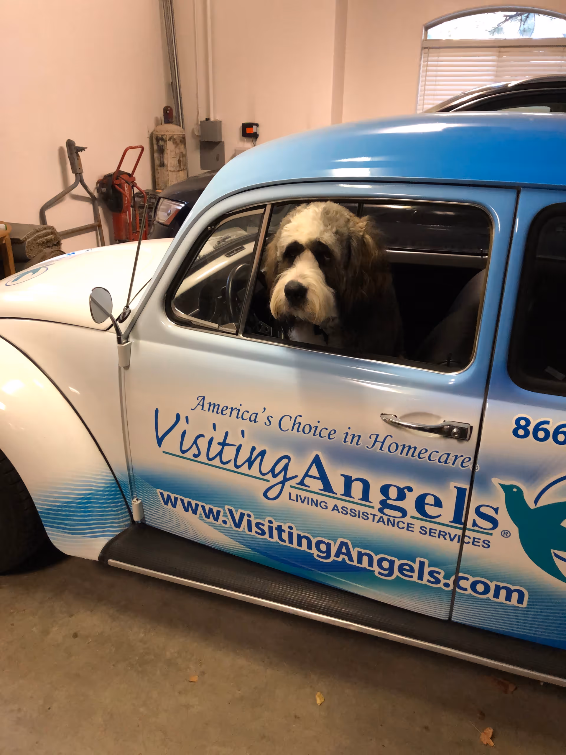 Blue Visiting Angels van in a garage with a dog in the driver's seat