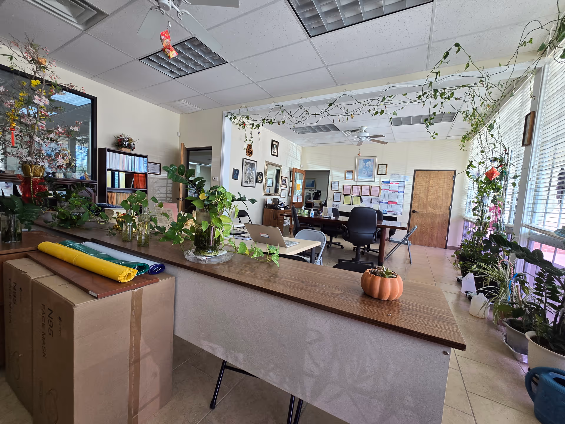 Indoor office-like common area with desks, chairs, and houseplants under a ceiling fan.