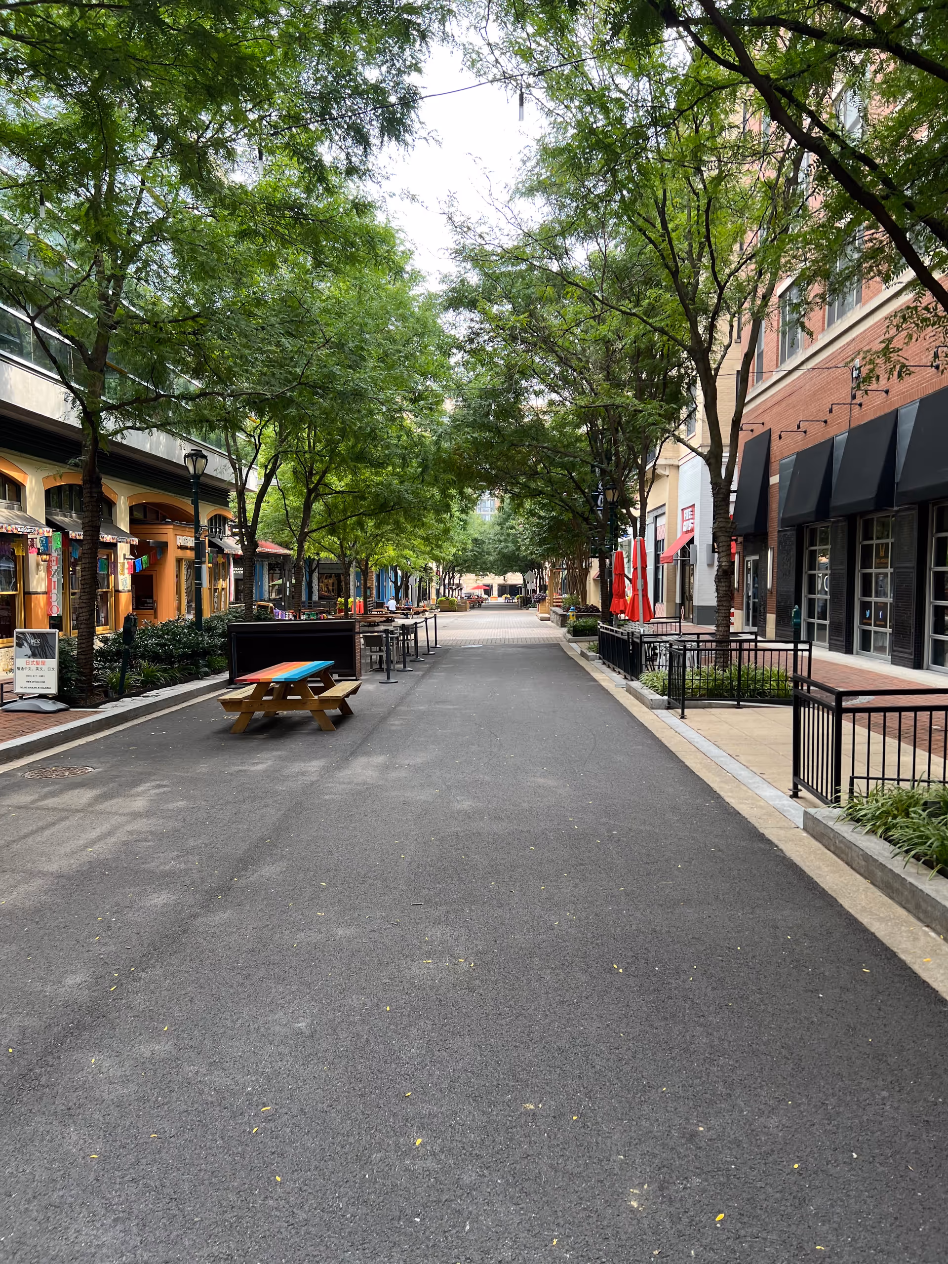 Tree-lined outdoor pedestrian street with storefronts, seating, and a picnic table.