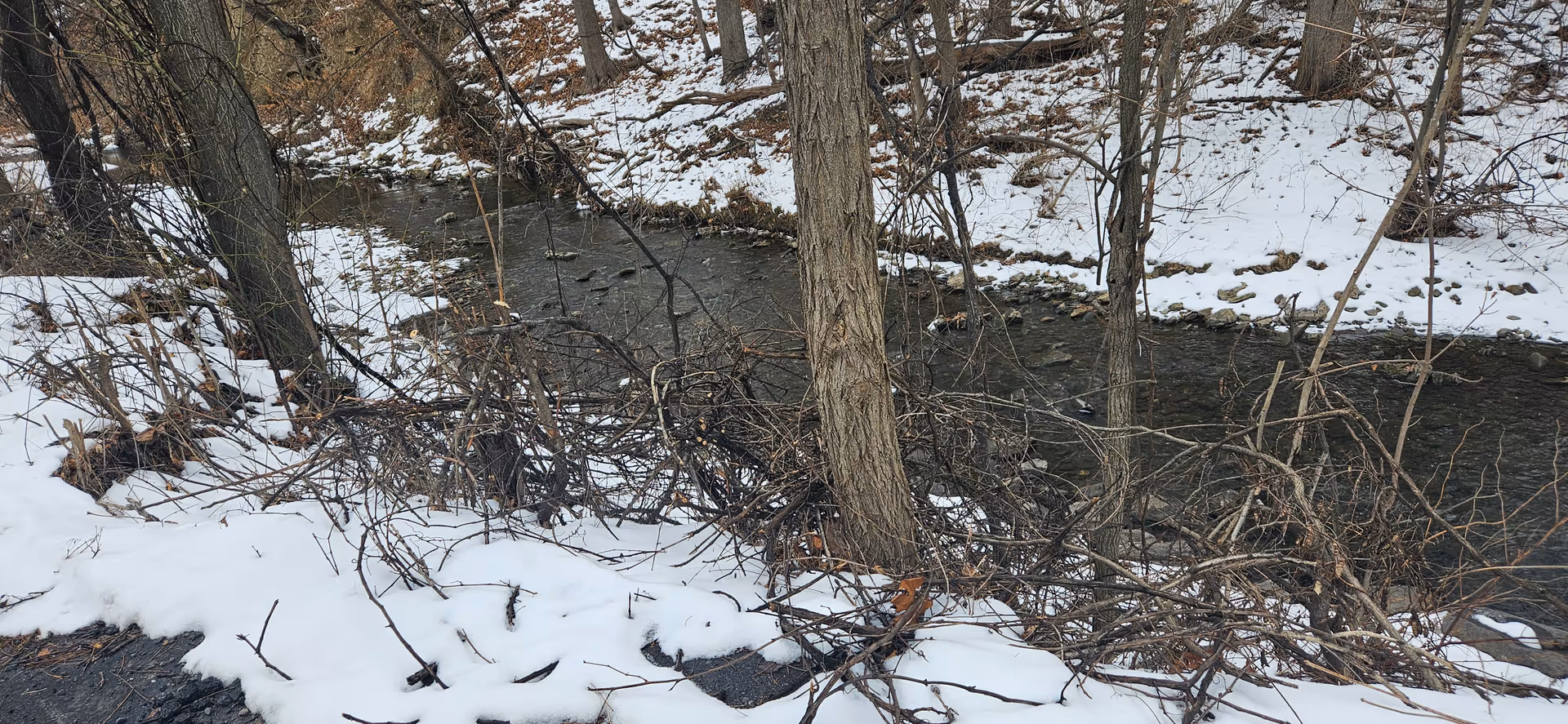 Snow-covered ground beside a narrow river with bare trees and fallen branches.