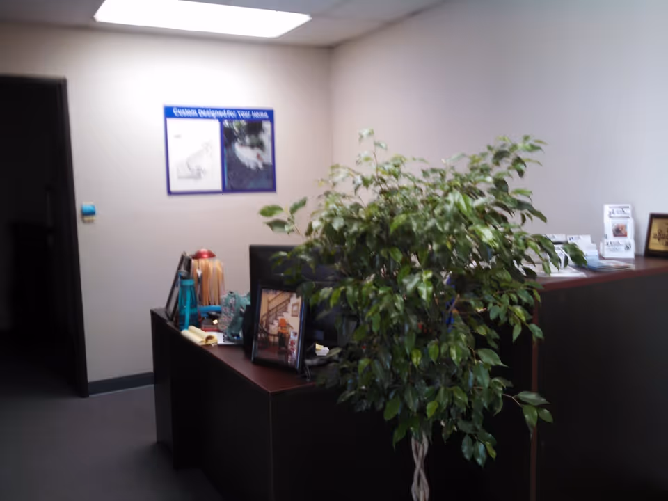 Reception desk in an office with a large potted plant and brochures.