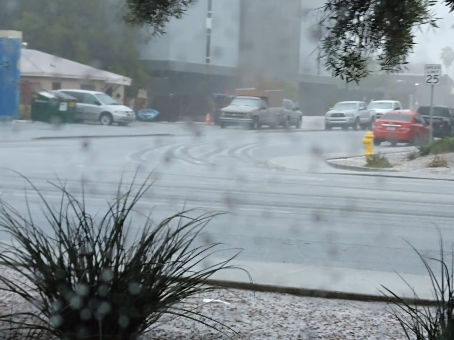 Raindrops blur a street view through a window with parked cars, a yellow hydrant, and plants.
