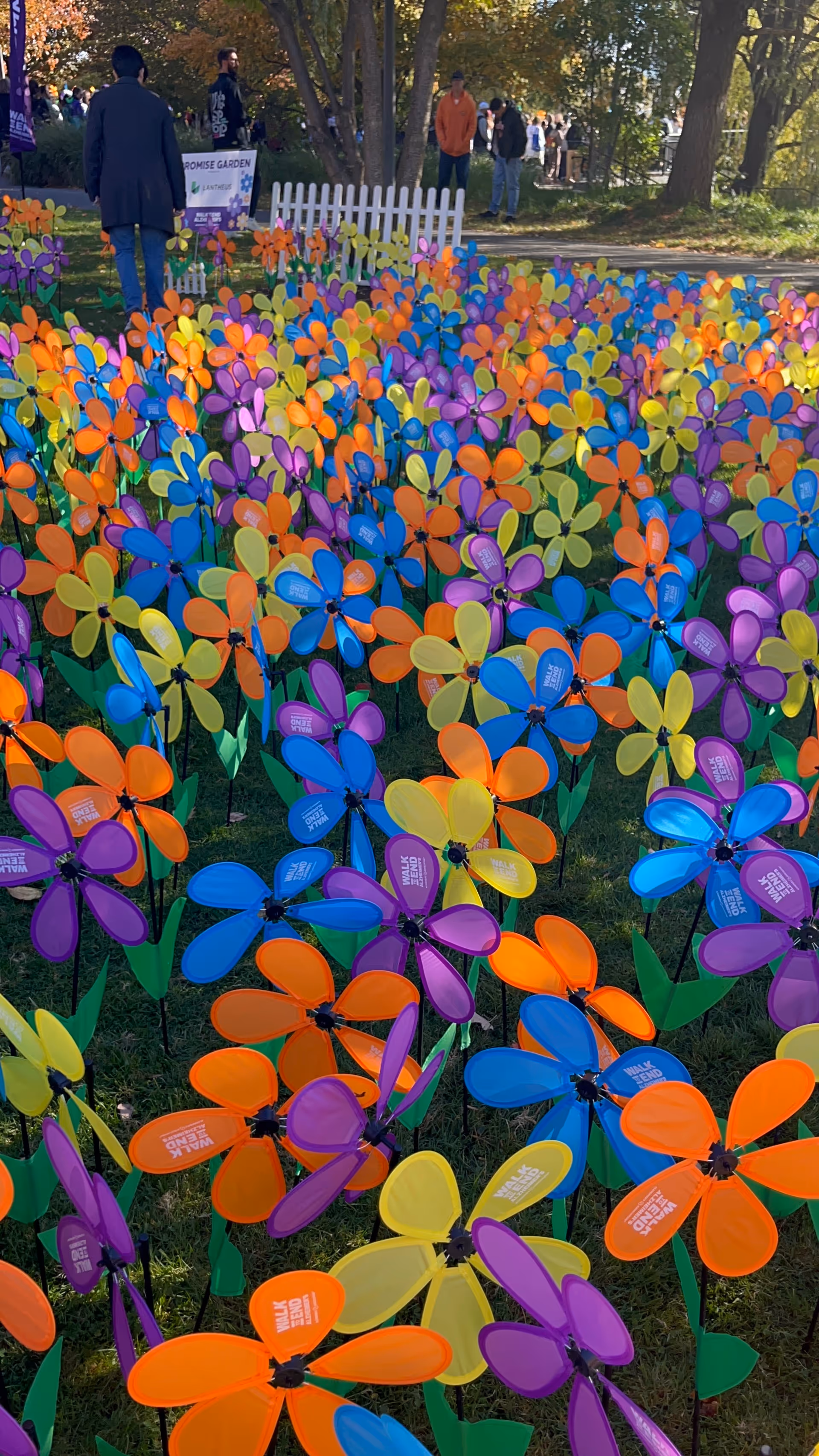 Outdoor scene featuring colorful pinwheels with people visible in the background.
