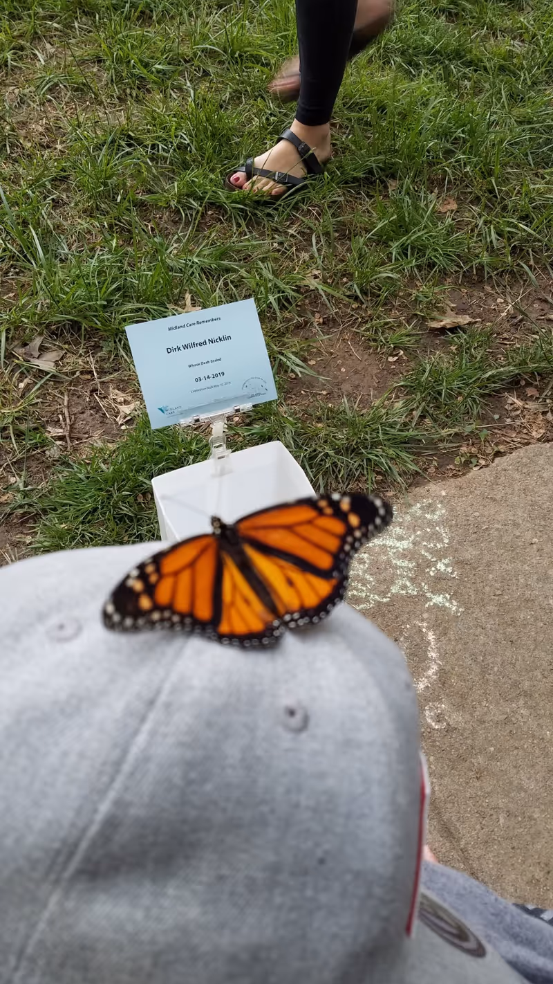 A monarch butterfly rests on a gray cap outdoors beside a sign on grass.