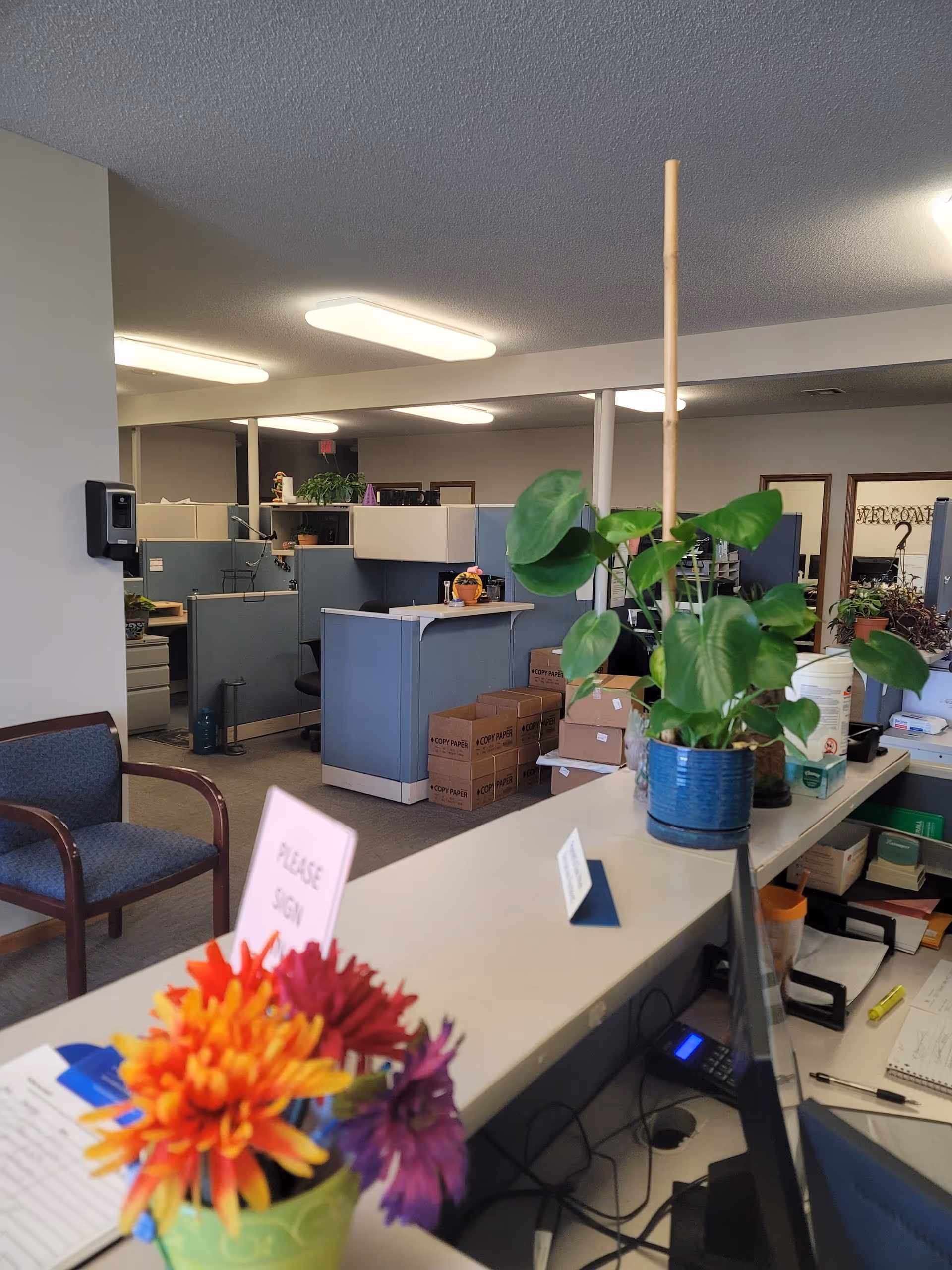 Office reception area with cubicles, a plant, and a sign on the counter.