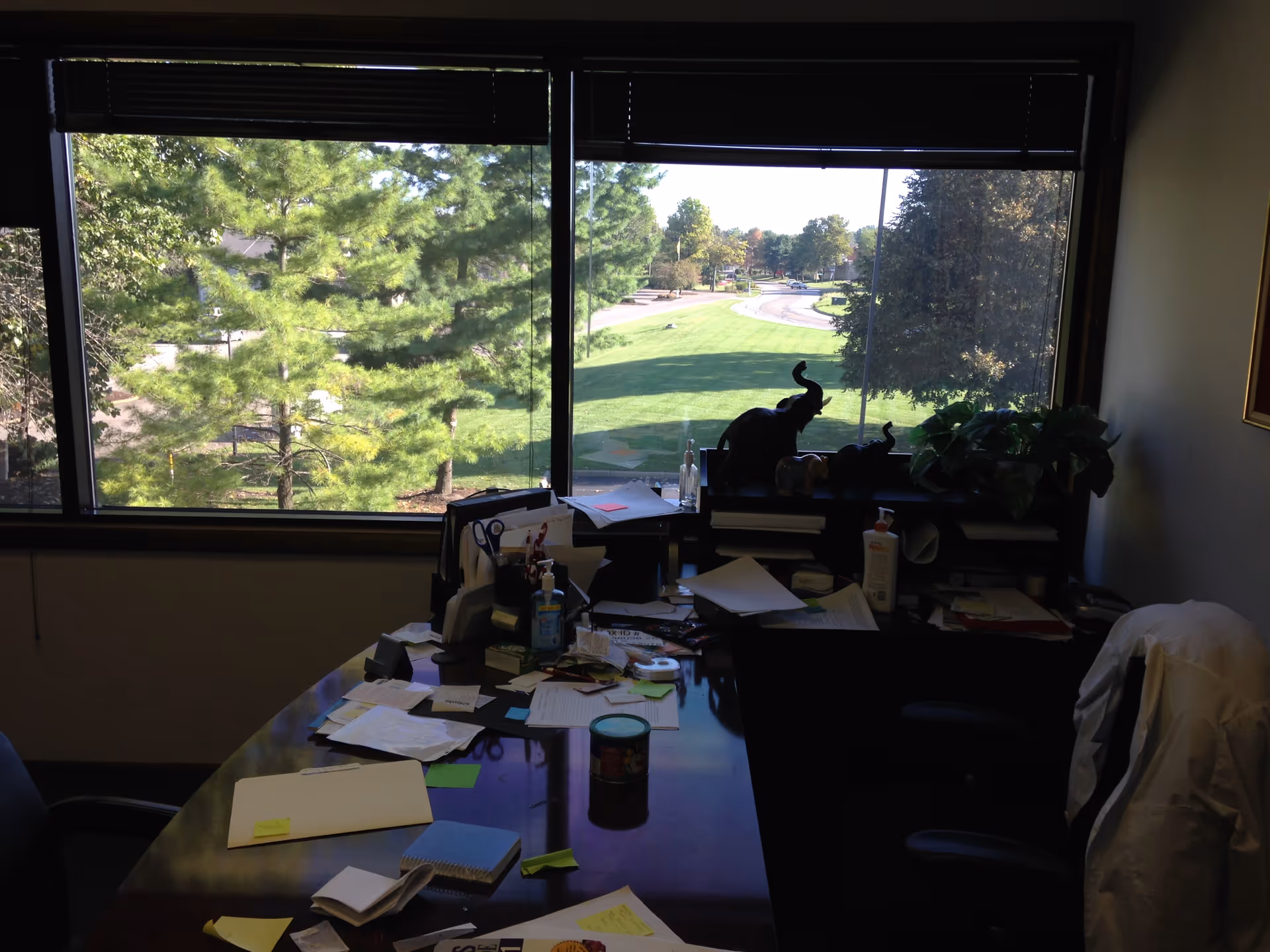 Cluttered office desk beside a large window overlooking a green lawn.