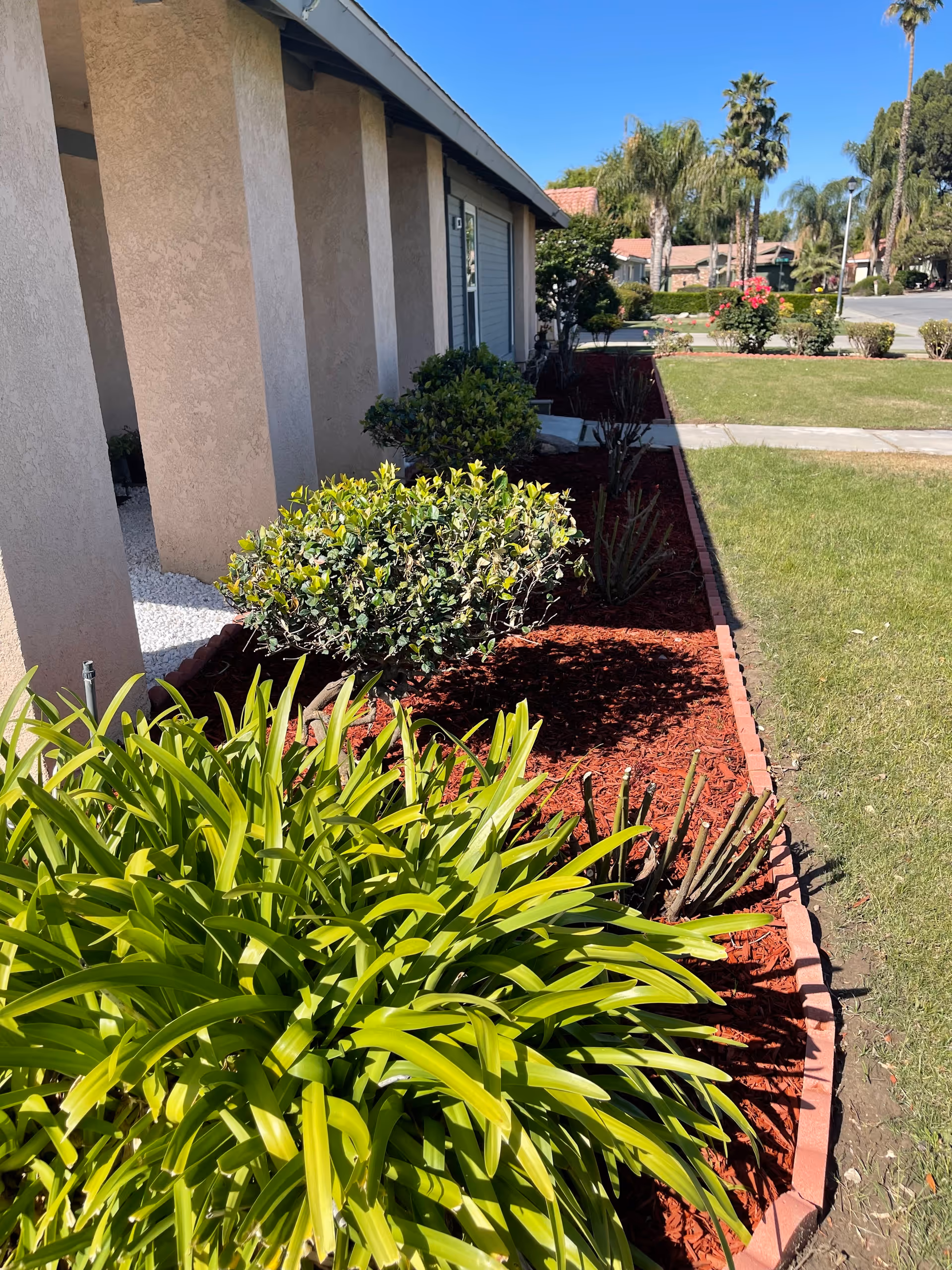 Exterior view of TLC Home Care 1 facility with landscaped walkway and shrubs.