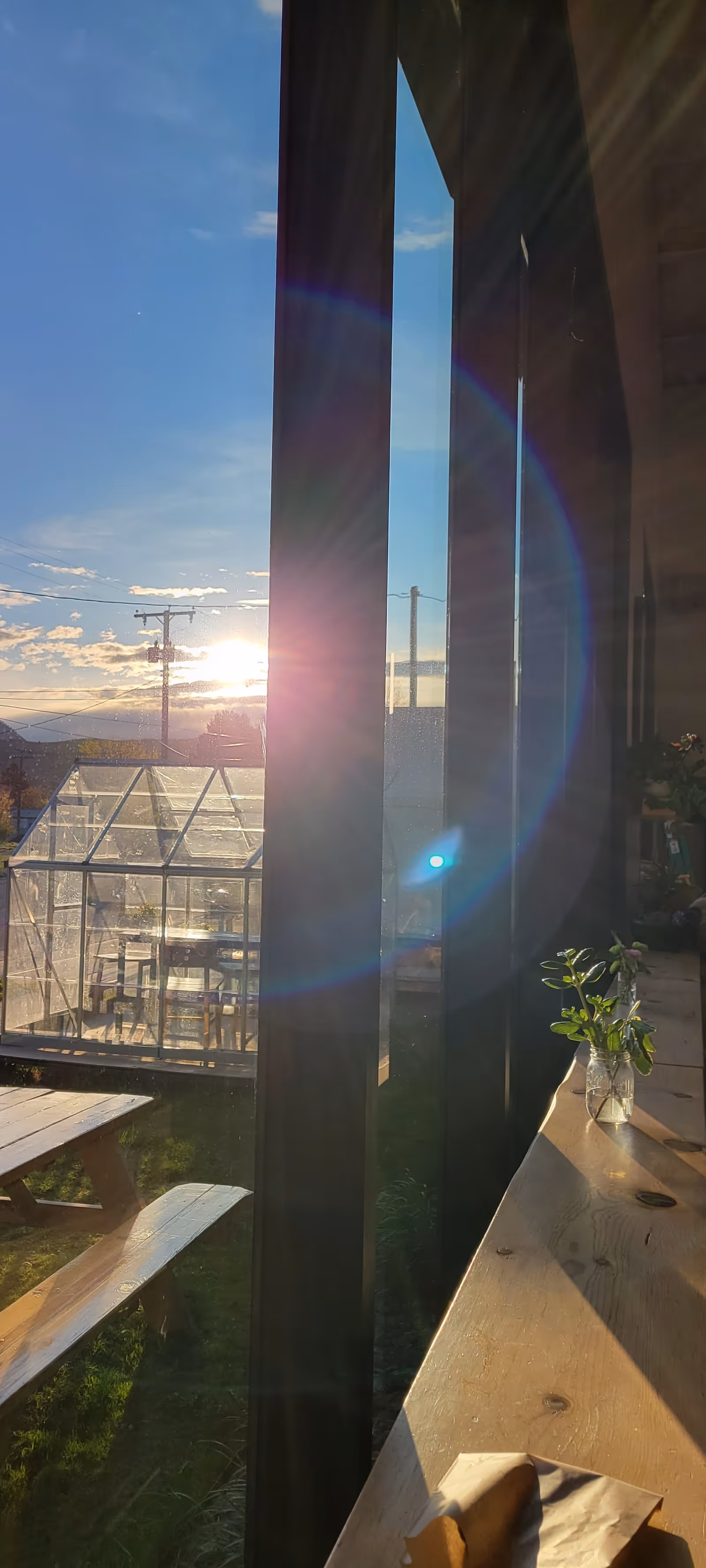 Sunlight streams through tall windows onto an outdoor area with a greenhouse and wooden benches.