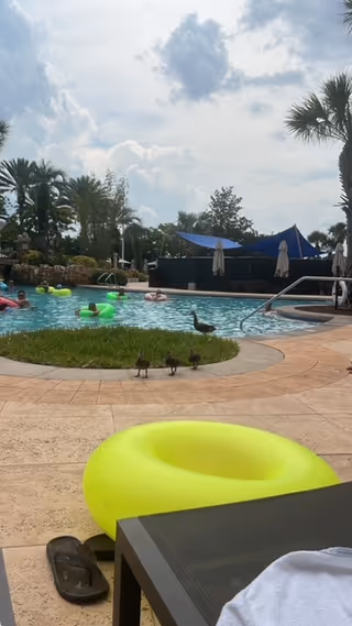 Outdoor pool area with palm trees, umbrellas, and bright yellow pool floats.