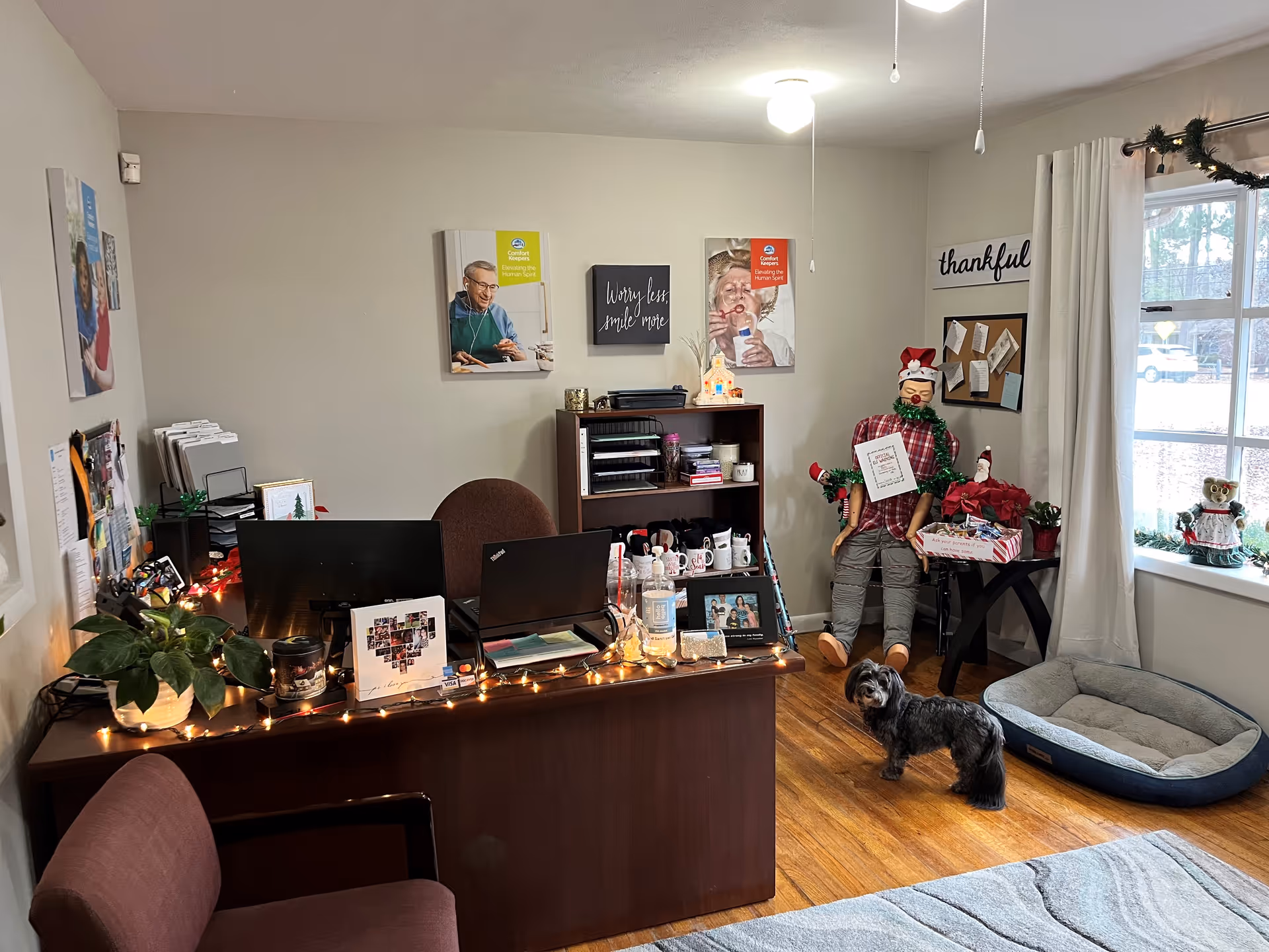 Reception area with desk, computers, holiday decorations, dog, and a cozy pet bed by the window.
