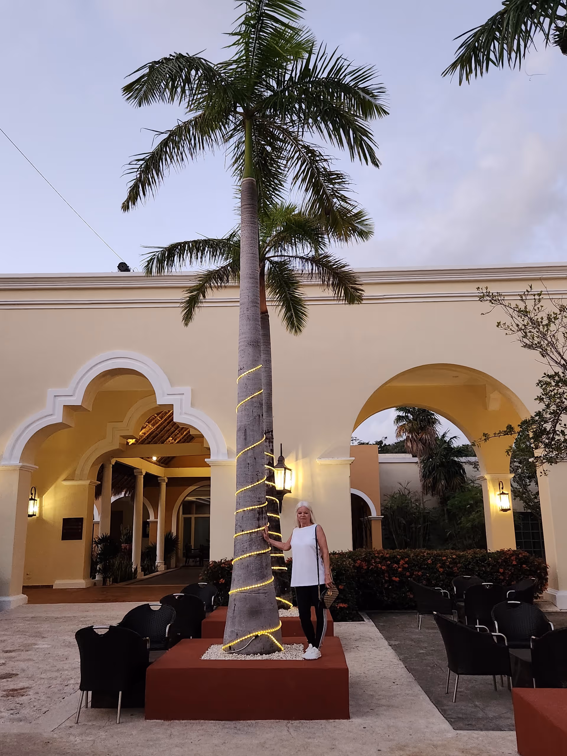 A beige building with arched entrances, a lit palm tree, and outdoor seating.