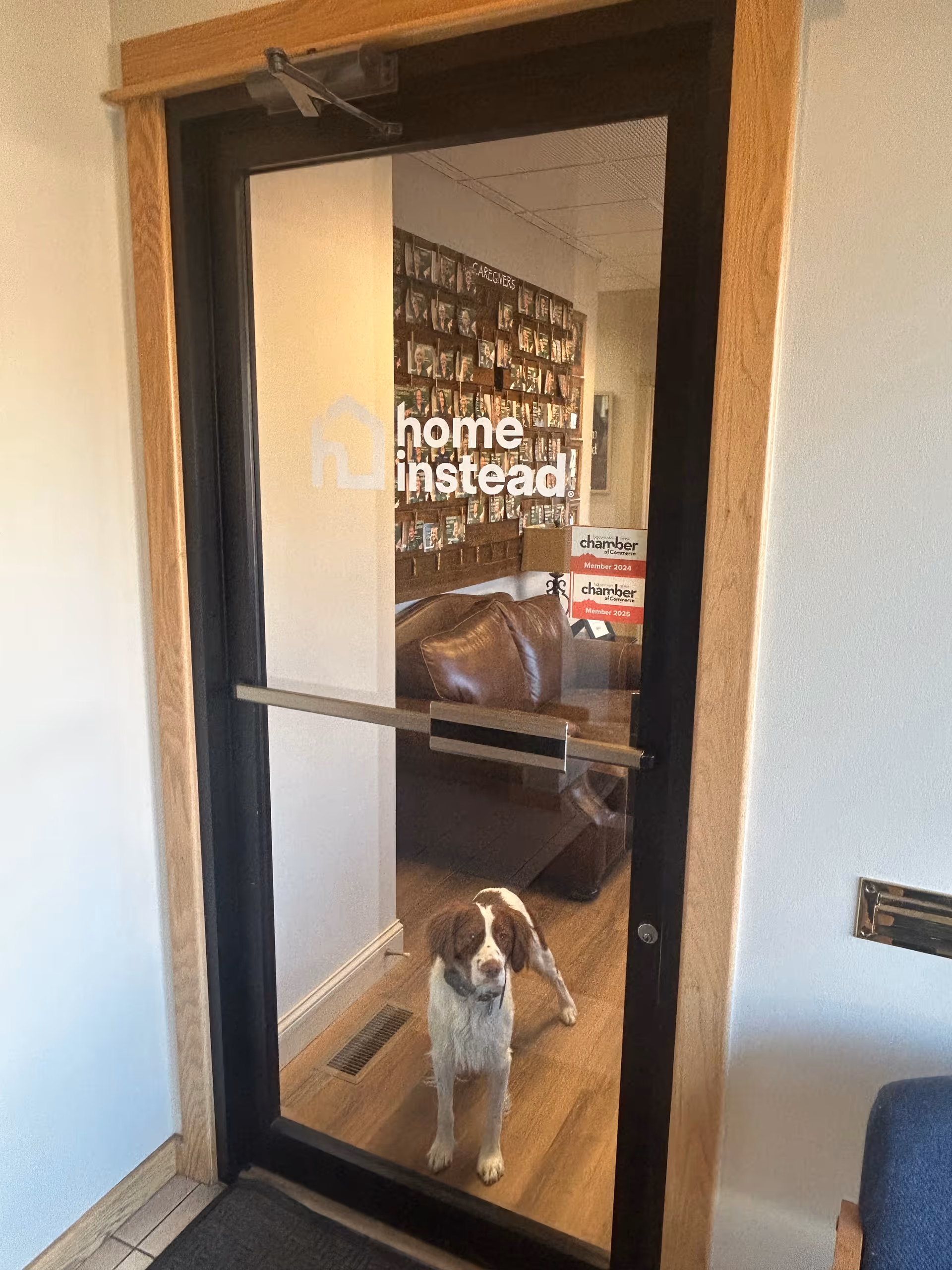 Glass door with Home Instead logo; interior living room with a dog inside.