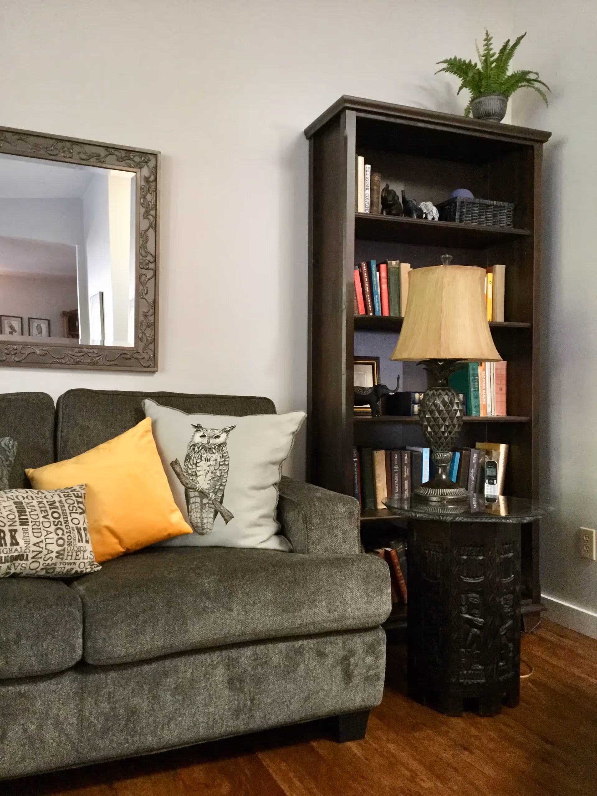 Cozy living room with gray sofa, decorative pillows, lamp, and a tall bookshelf.