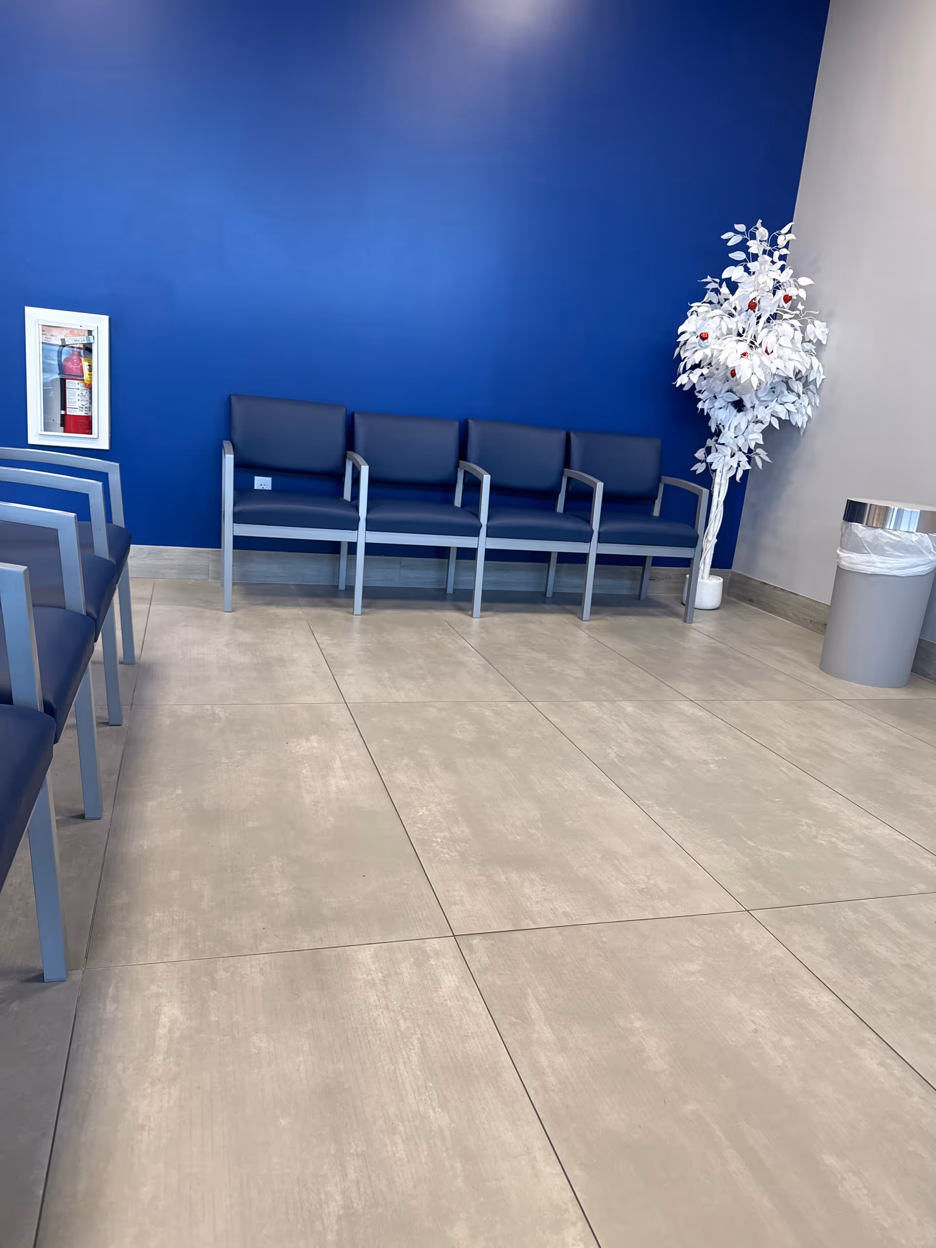 Blue wall interior lobby with a row of blue chairs and a white decorative tree.