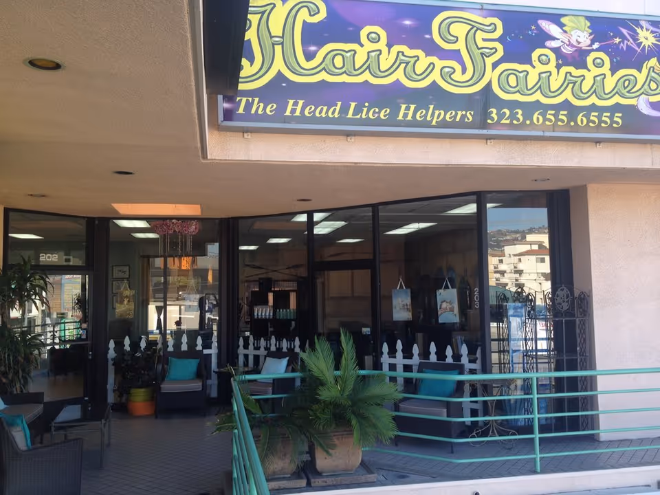 Storefront entrance for Hair Fairies The Head Lice Helpers with purple sign and seating.