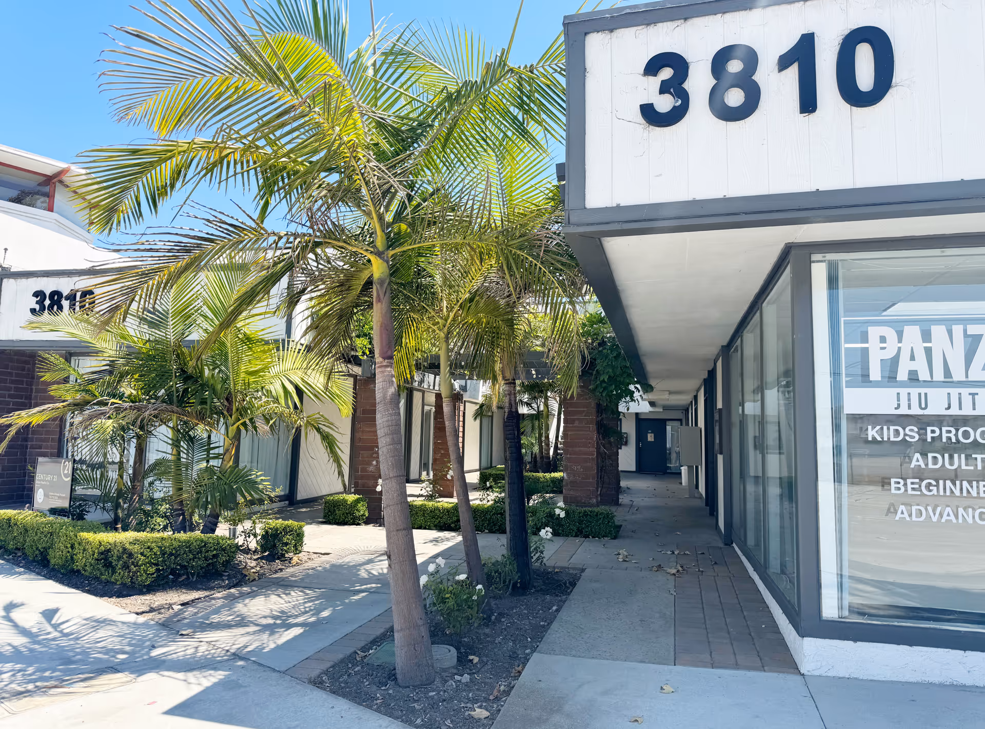 Exterior view of a storefront plaza with palm trees and the number 3810.