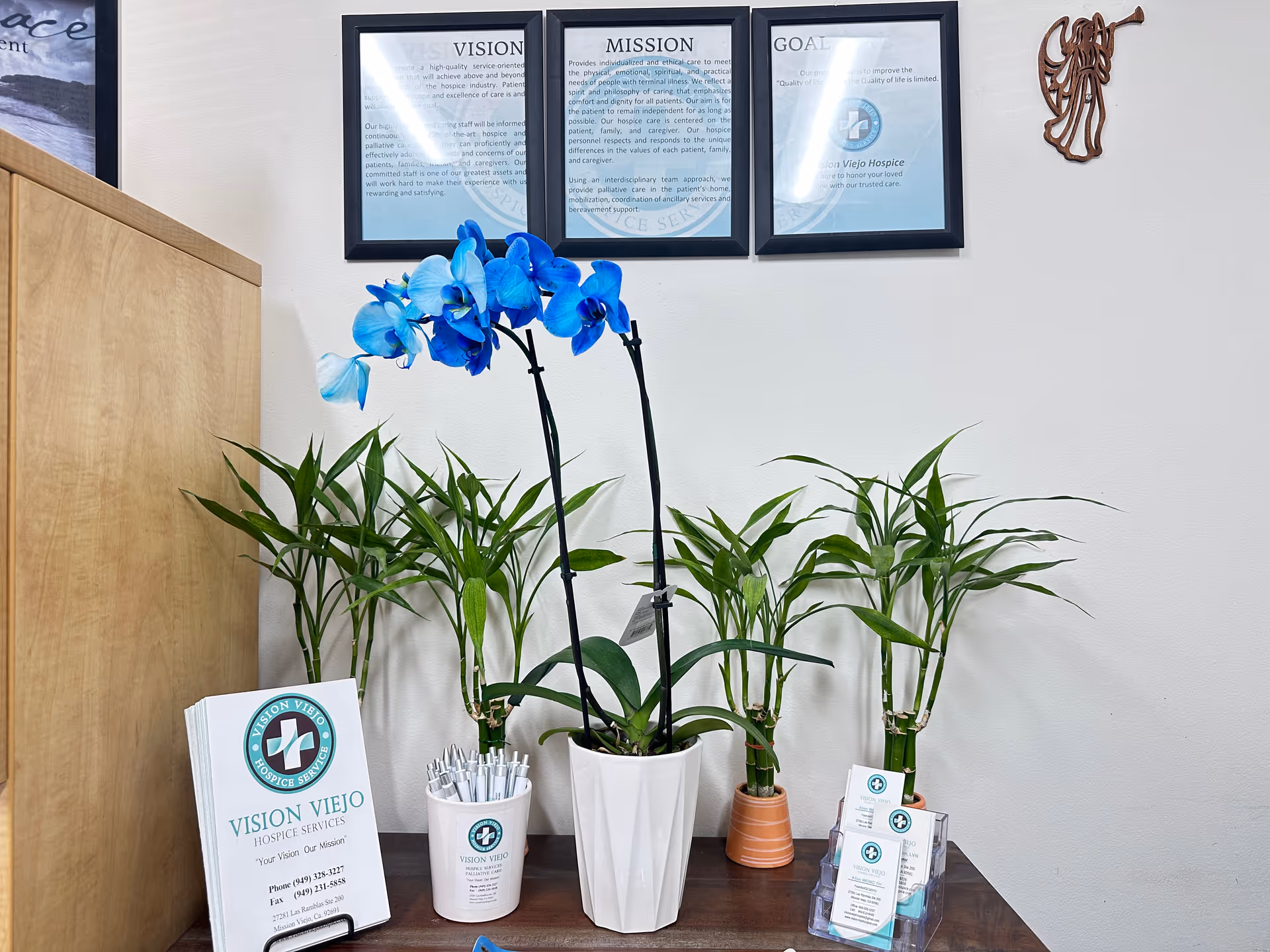 Lobby area with potted plants, blue orchid centerpiece, brochures, and framed wall documents.