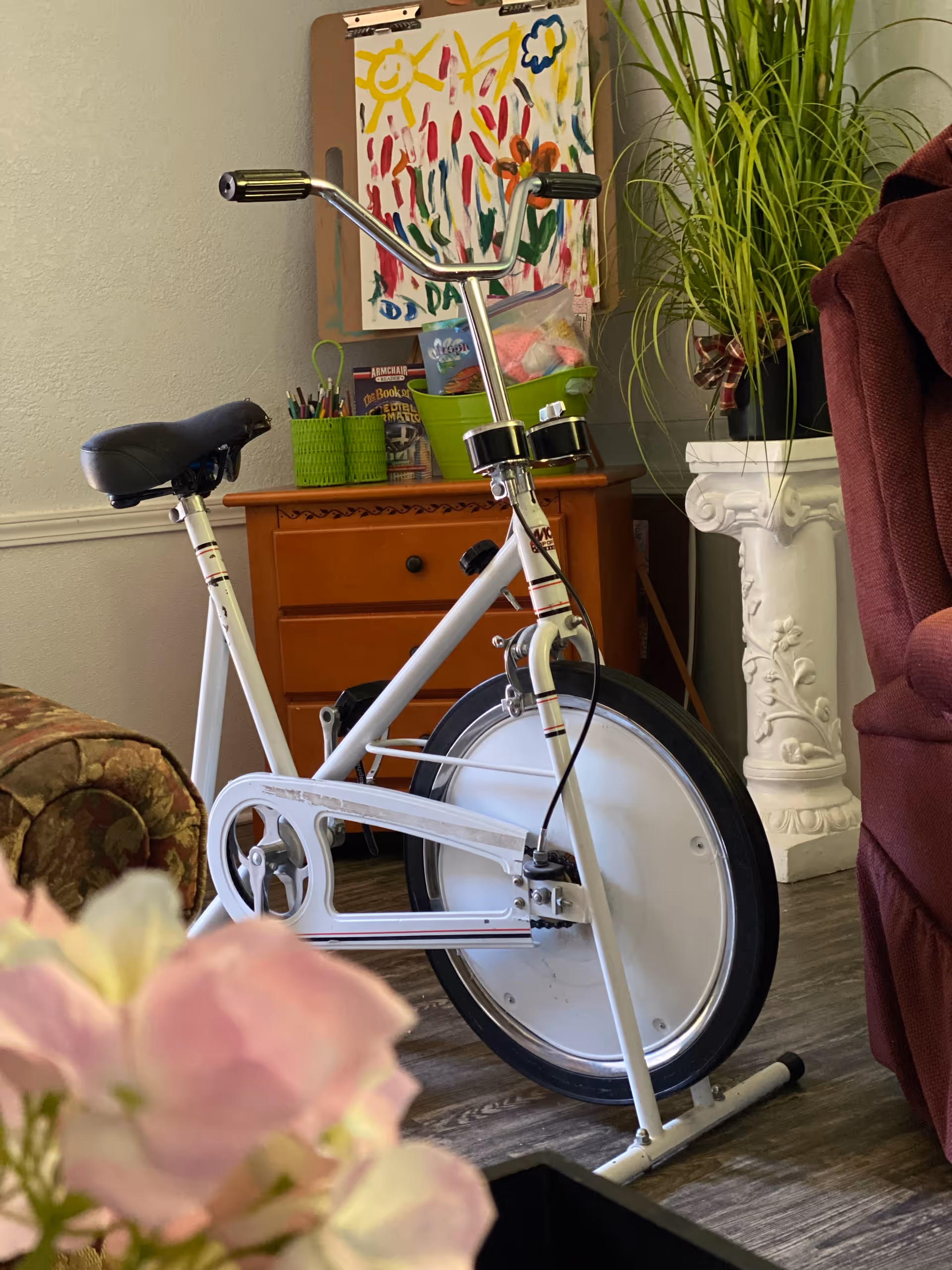 White exercise bicycle in a cozy living area with plants and a wooden dresser.