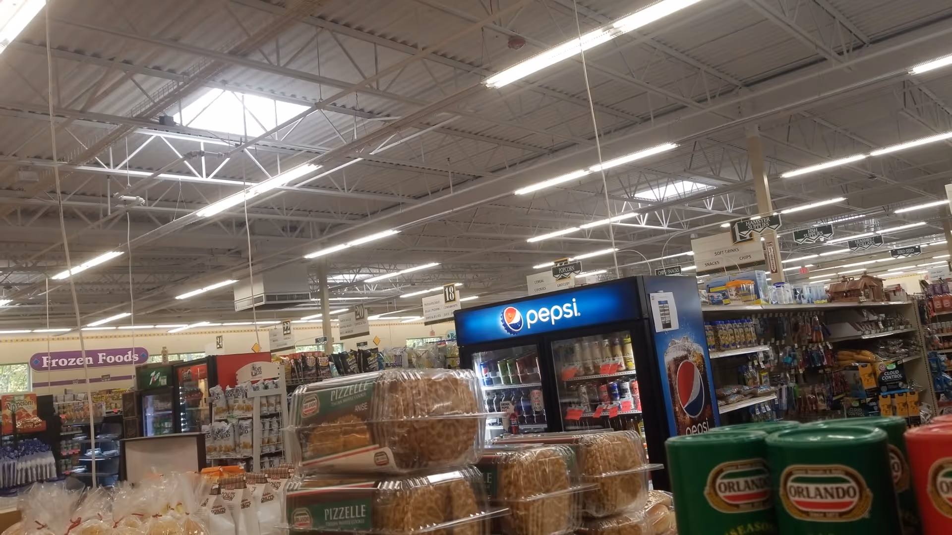 Inside Discount Drug Mart, showing a Pepsi cooler and frozen foods aisle.