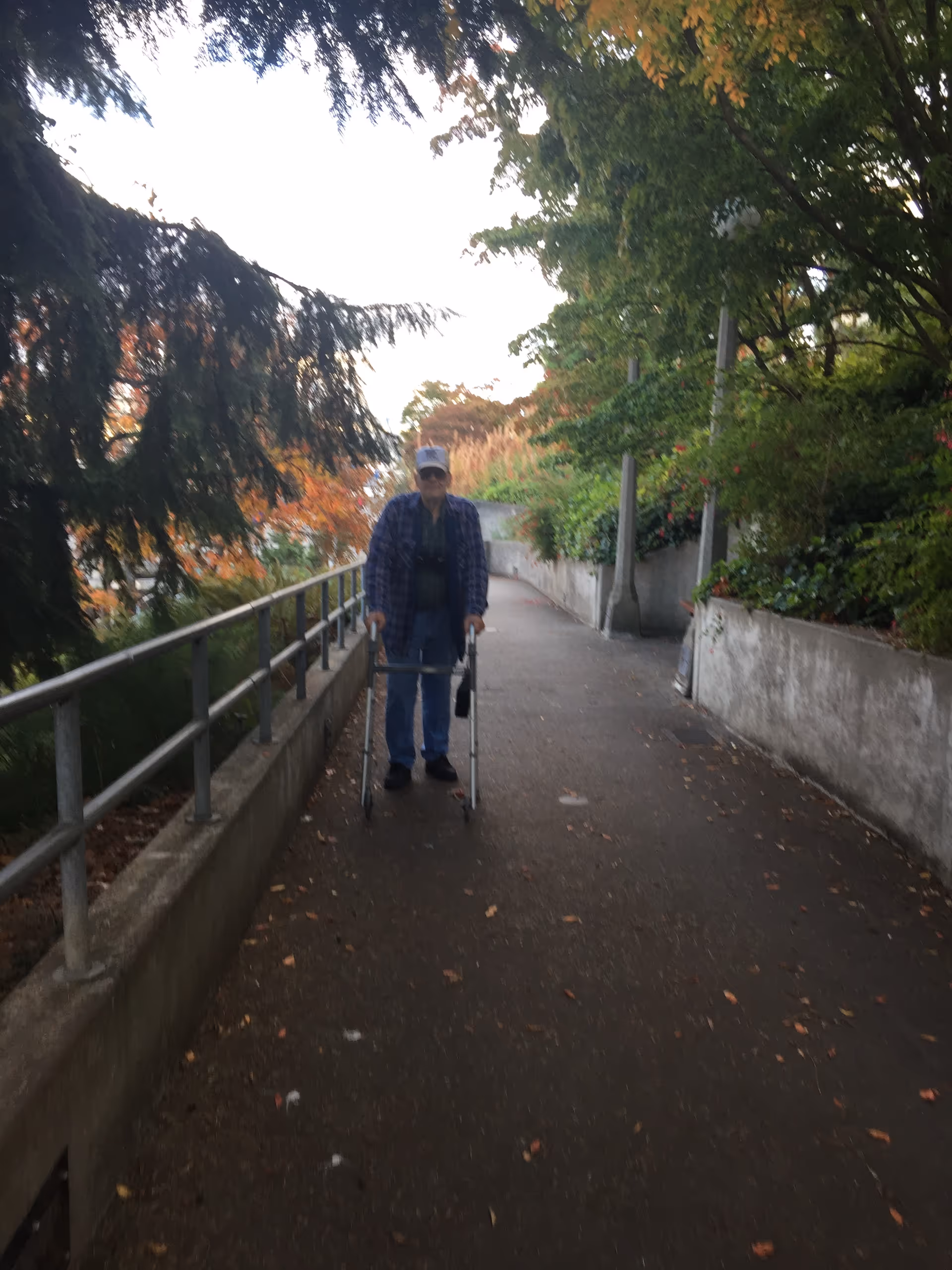 An elderly person with a walker on an outdoor paved path beside a railing.