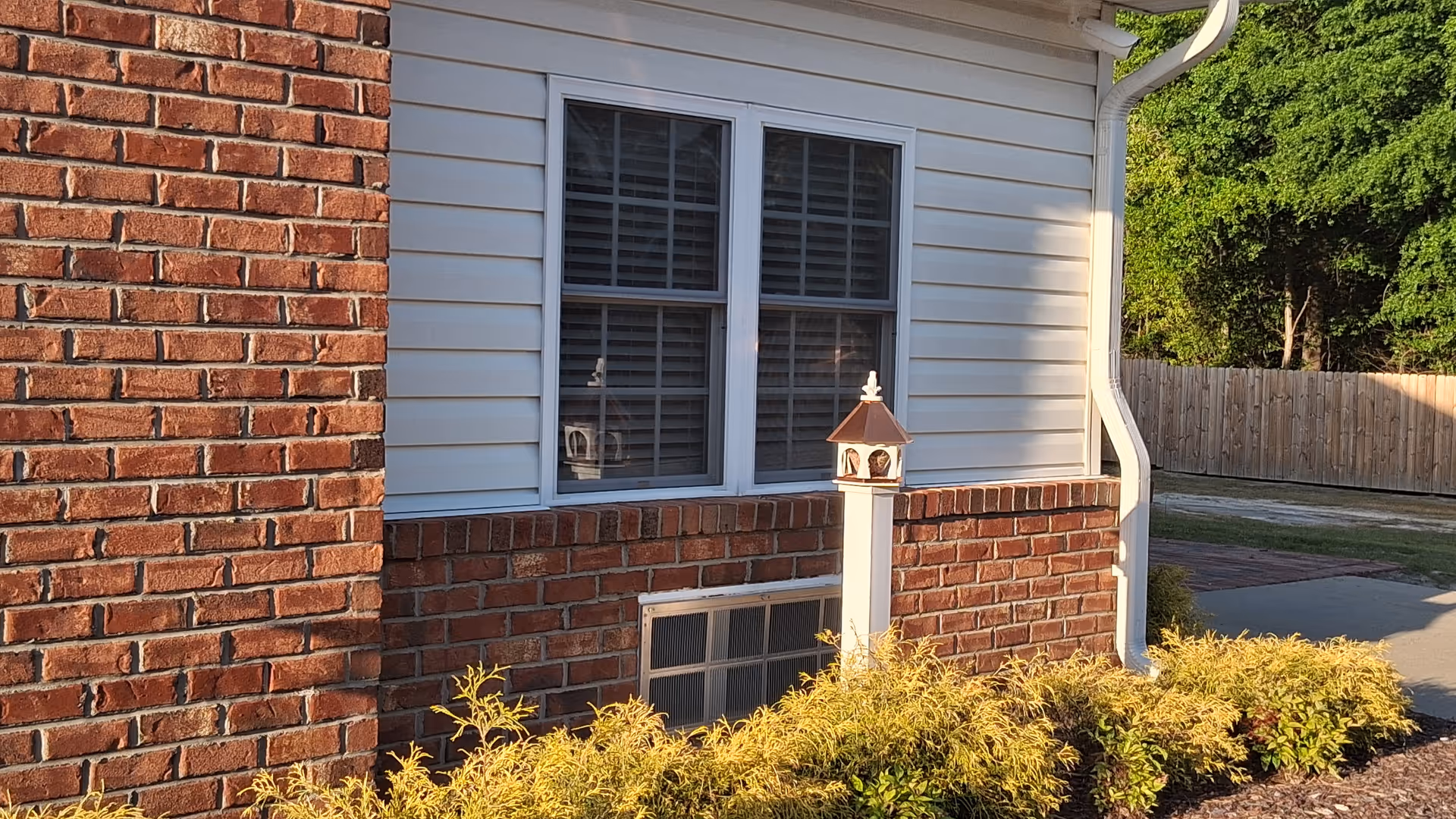 Exterior side of a brick house with a window, white siding, and yellow shrubs.