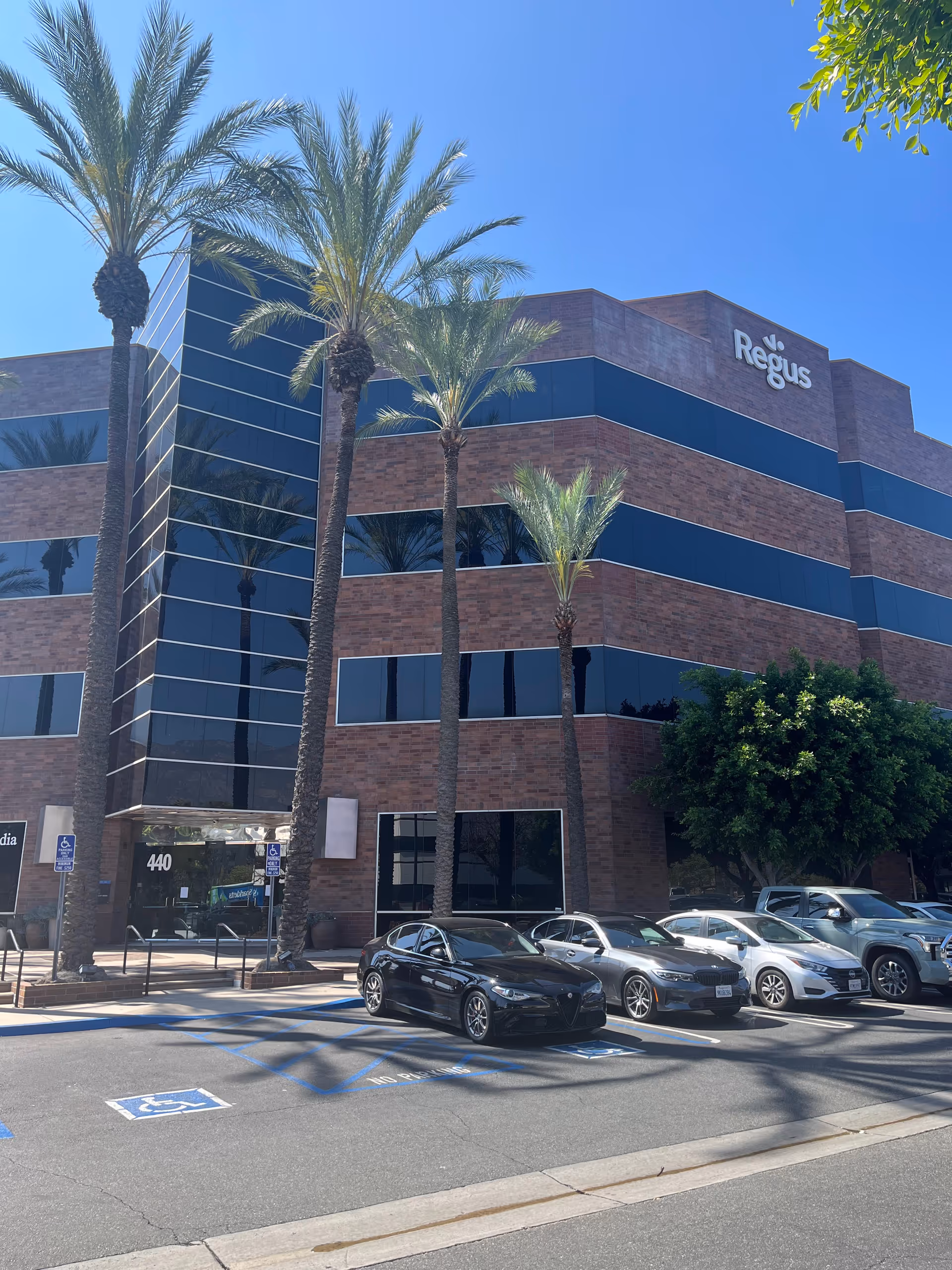 Brick office building with tall palm trees, glass windows, and a parking lot in front.