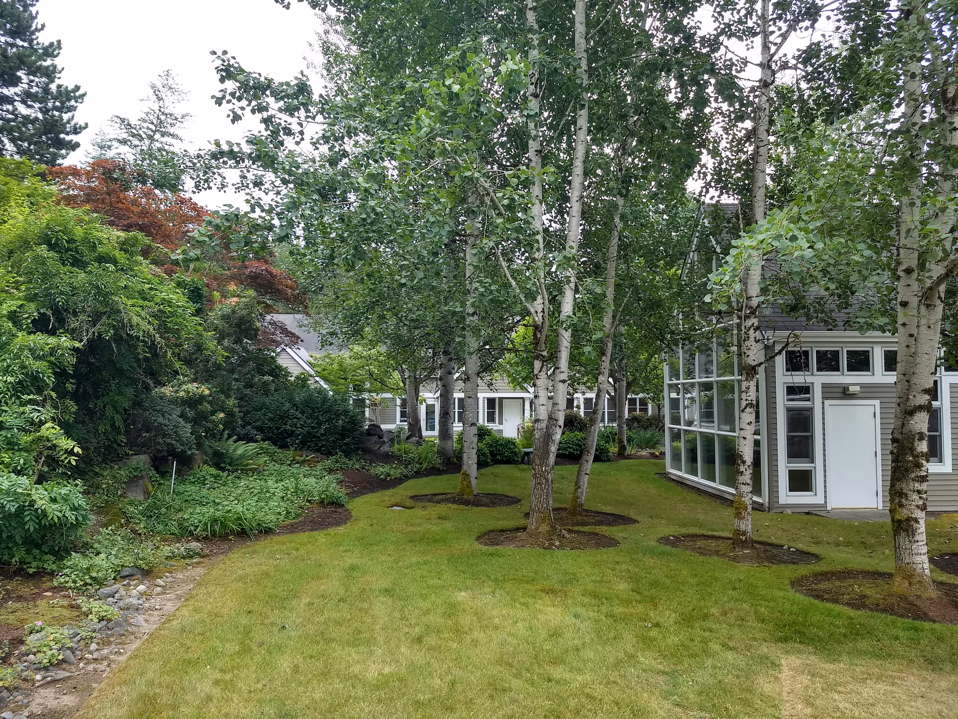 Lush outdoor courtyard with birch trees, manicured lawn, and a light-colored building with glass sections.