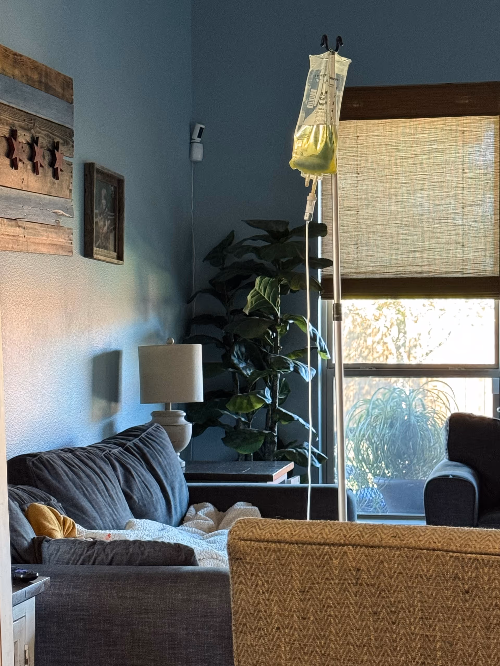Blue living room with couch, lamp, plants, window blinds, and IV pole.