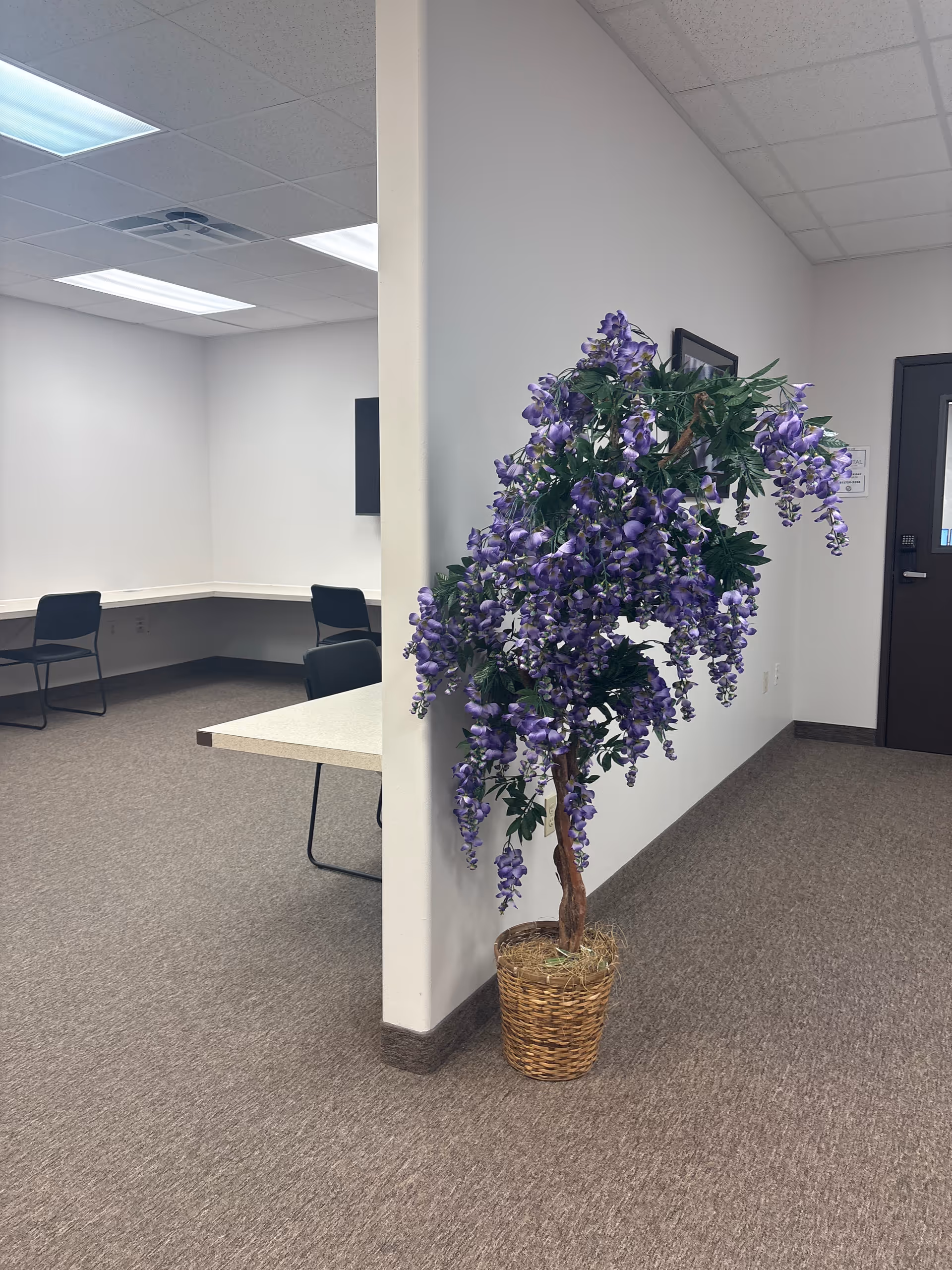 Interior hallway with a potted purple flowering plant in a wicker basket.