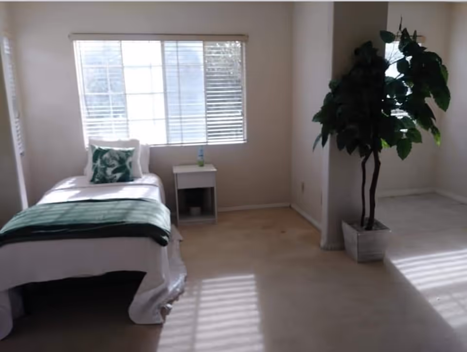 A bright, sparsely furnished bedroom with a single bed, nightstand, window, and tall plant.