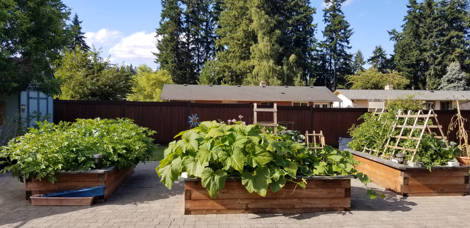 Outdoor courtyard with raised garden beds, trellises, and lush leafy plants.