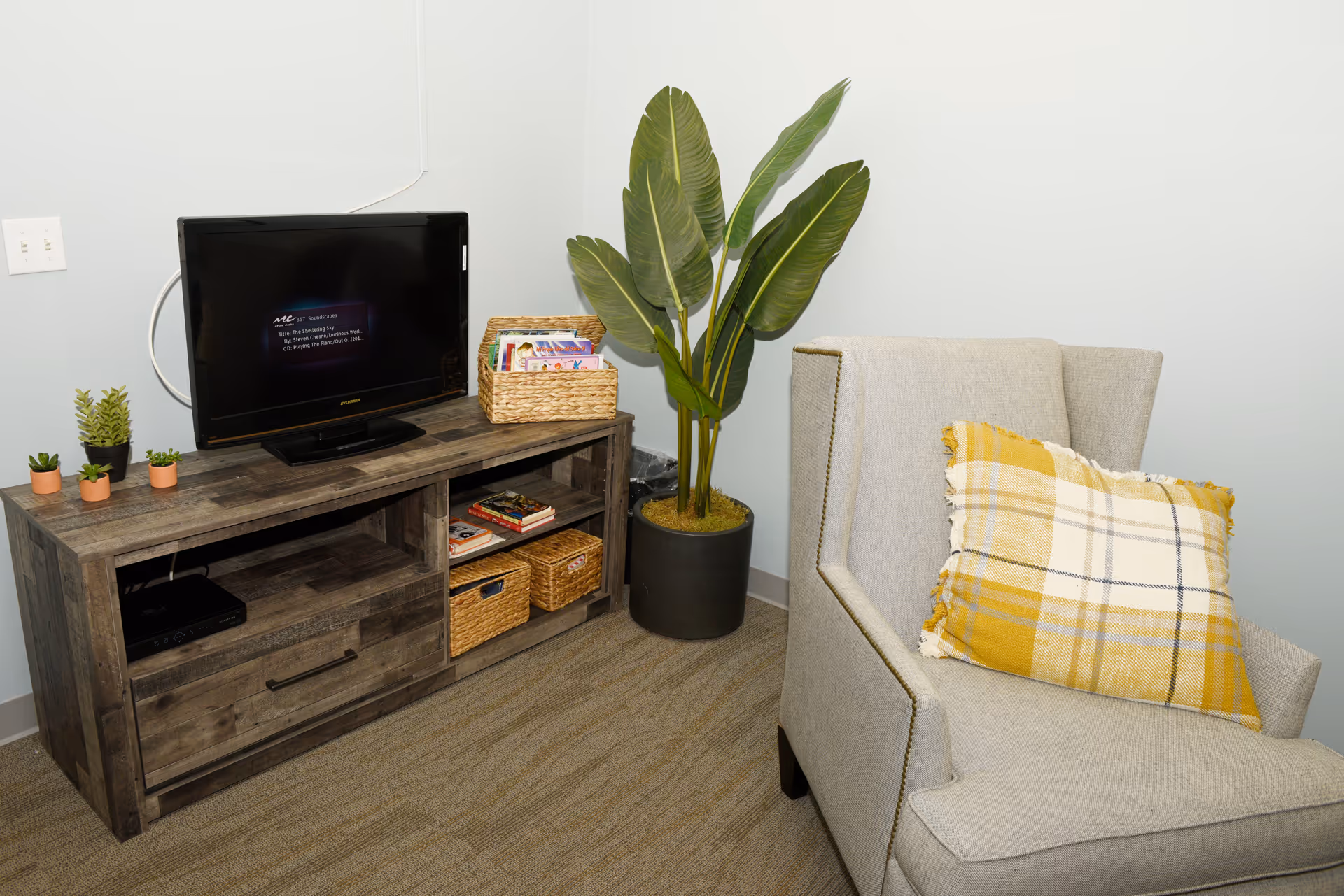 A cozy living room with a wooden TV console, potted plants, and a plaid pillow chair.
