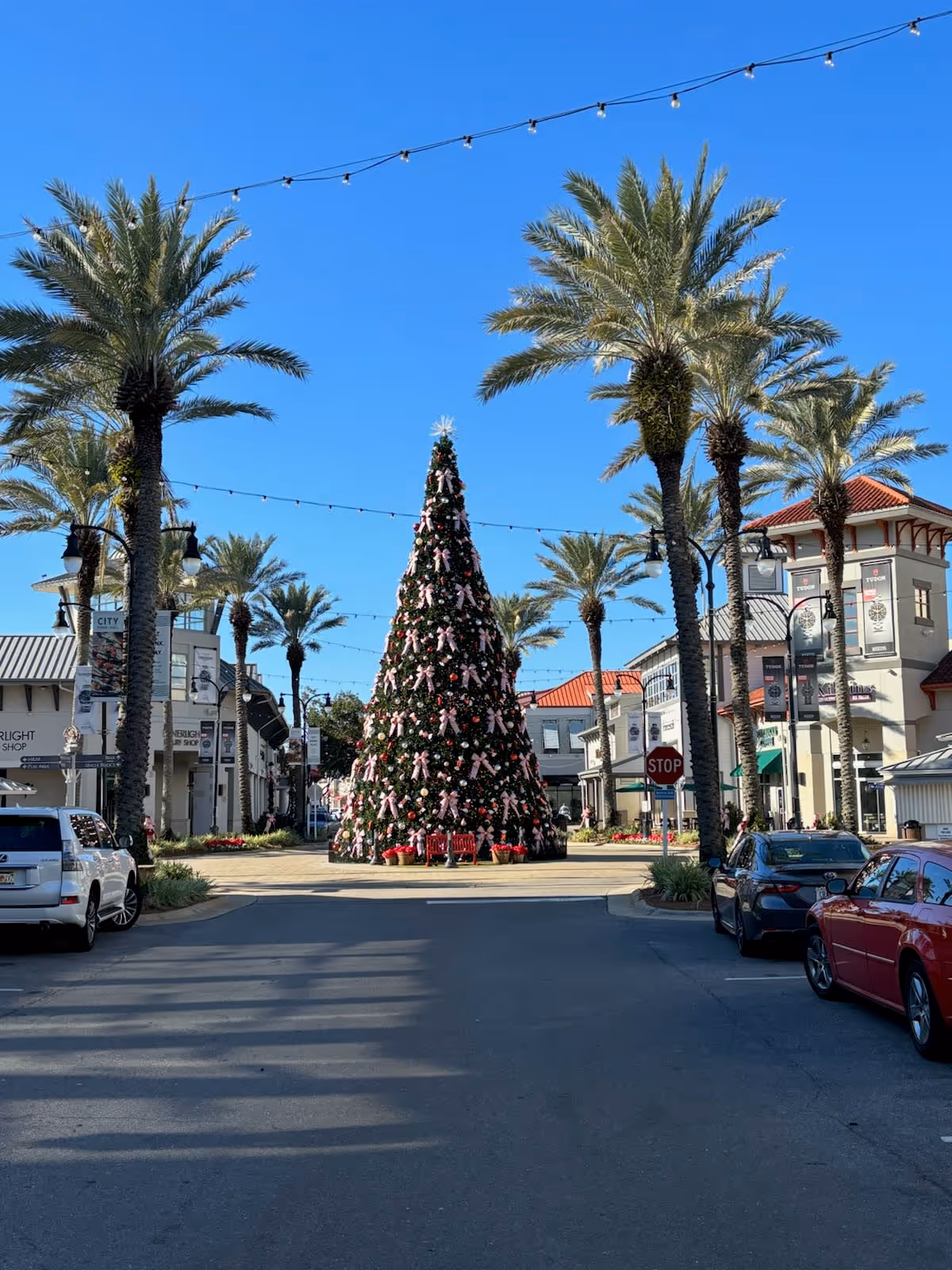 A large Christmas tree stands centerpiece on a sunny outdoor street with palm trees.