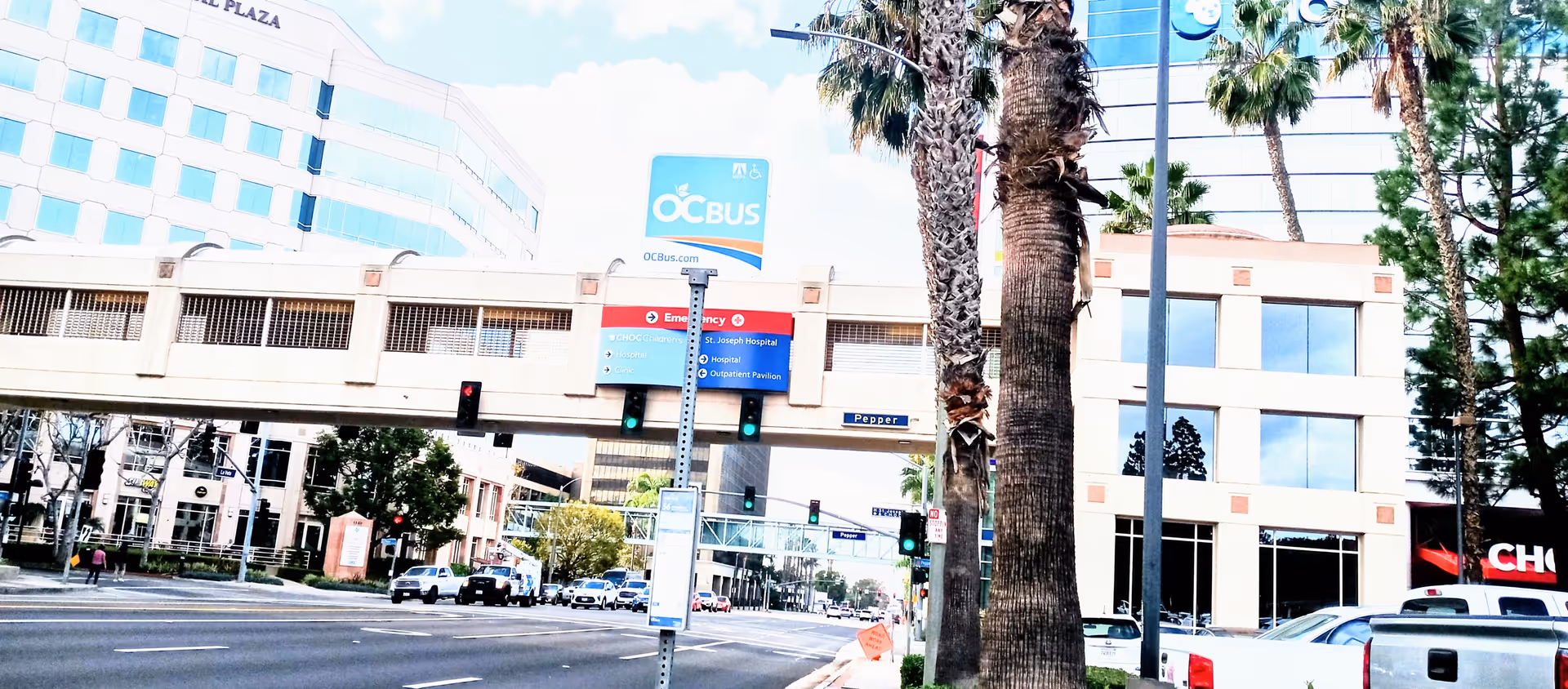 City street scene featuring palm trees, traffic signals, and modern office buildings.