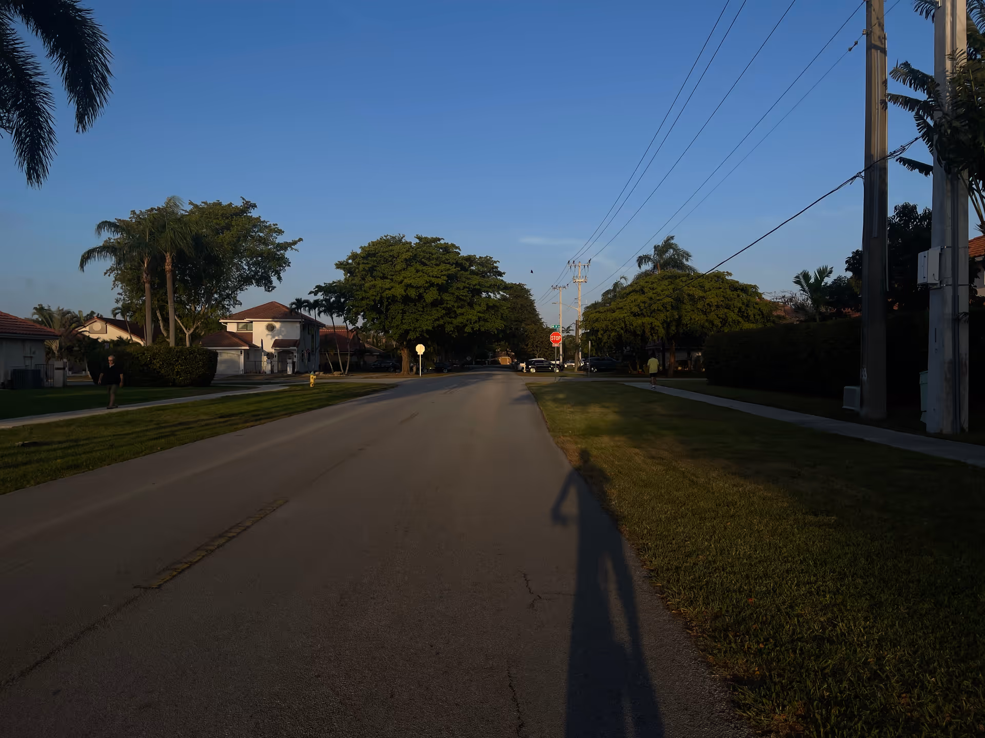 Residential street with trees, sidewalks, and utility poles under a clear sky.