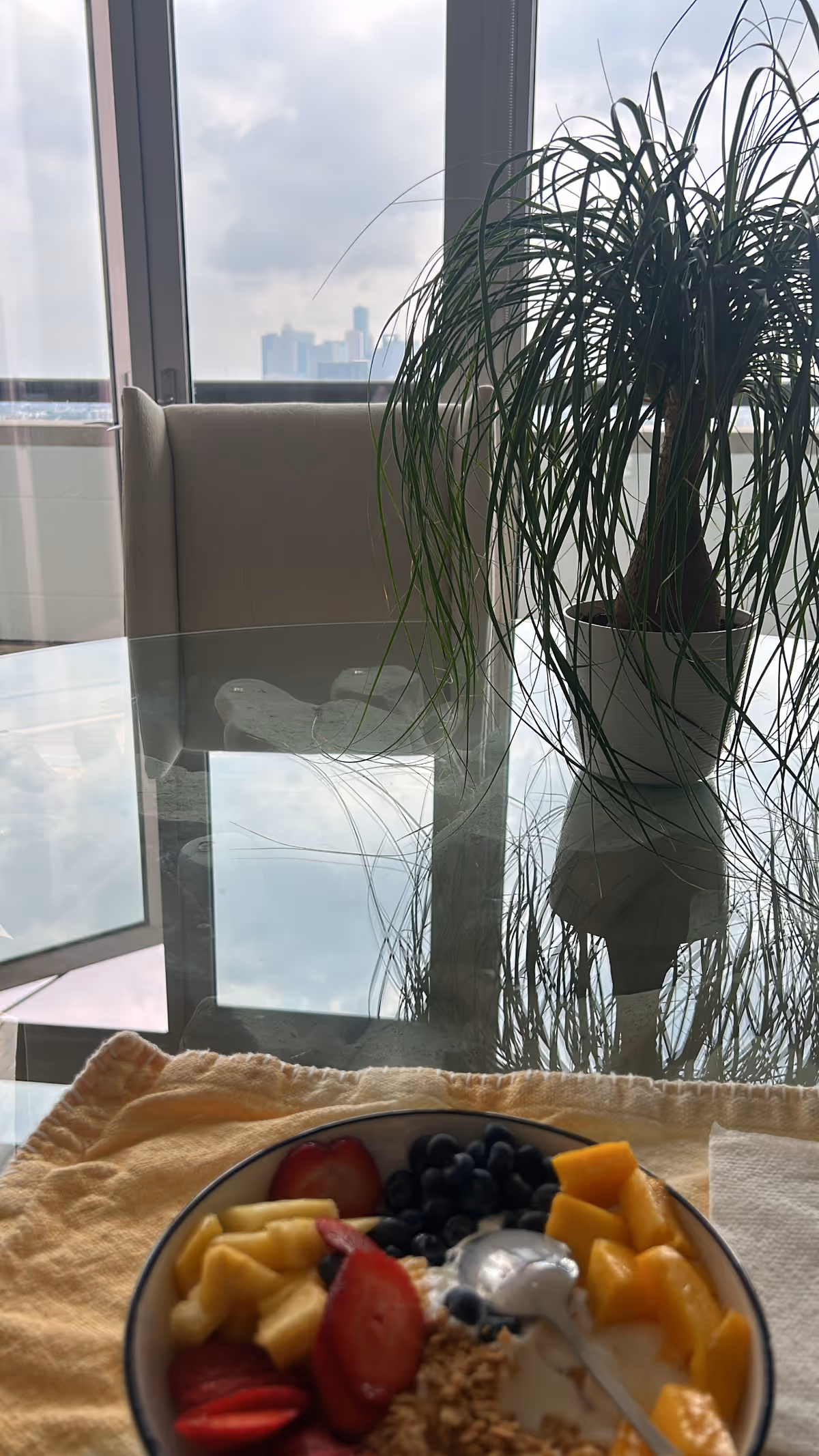 Fruit bowl and potted plant on glass dining table with city view.