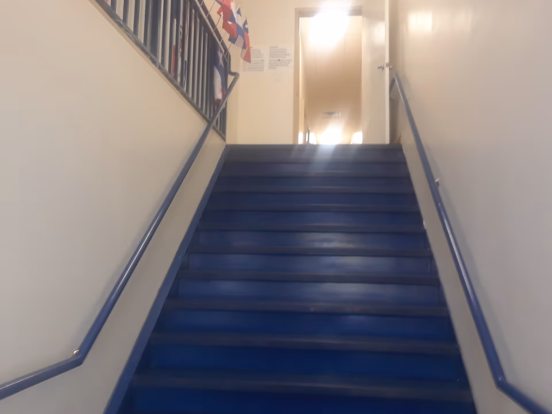Blue stairwell inside a facility, with handrails along both sides and a door at the top.