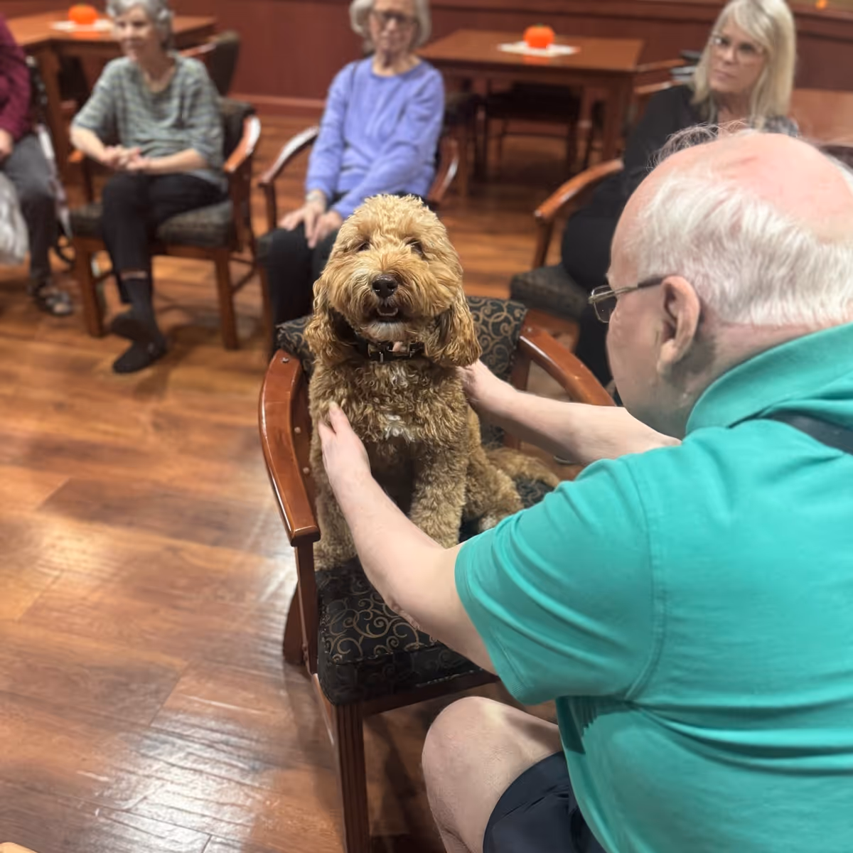 In a senior living common area, a therapy dog sits on a chair as residents watch.