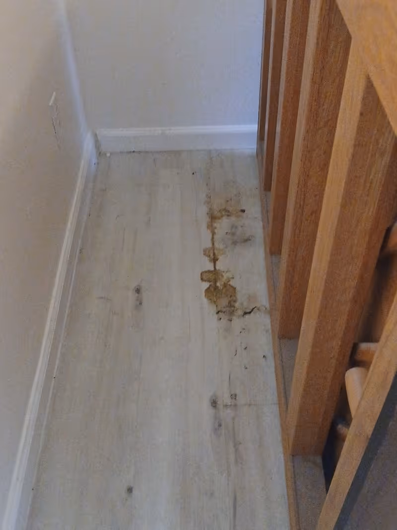 Narrow indoor hallway with light wood flooring, baseboard, and wooden railing