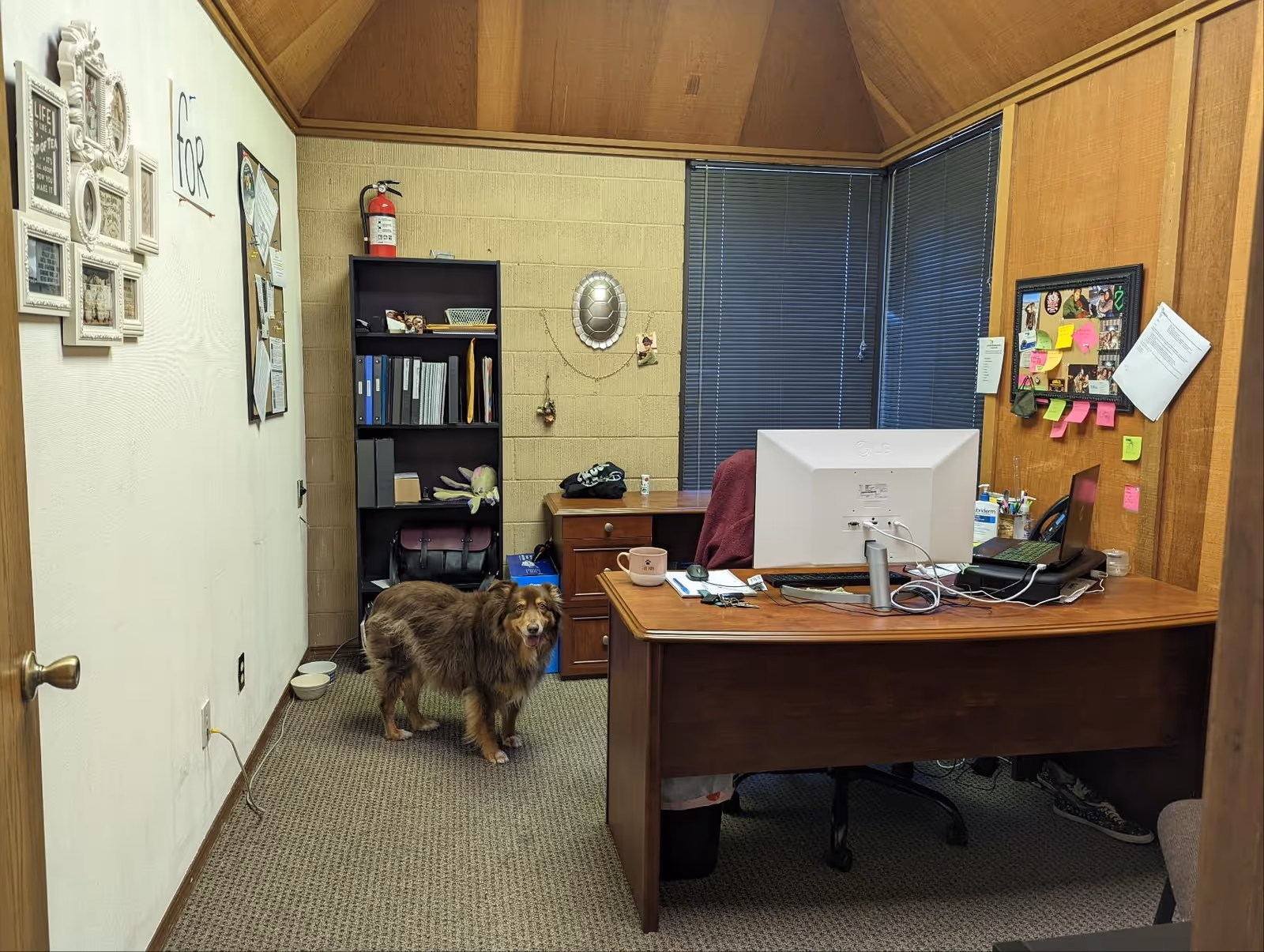 Office desk area in a Senior Helpers facility with a fluffy dog standing nearby.
