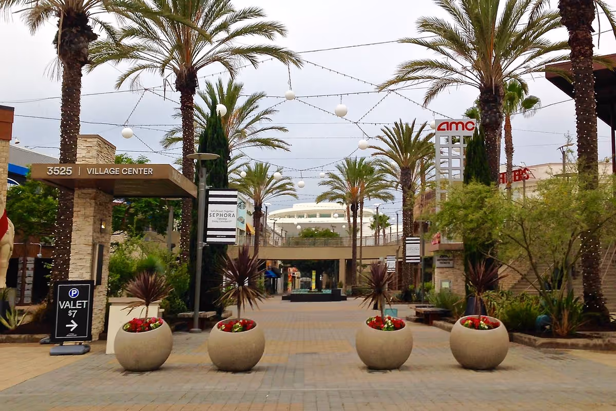 Outdoor shopping center plaza with palm trees, string lights, and planters.