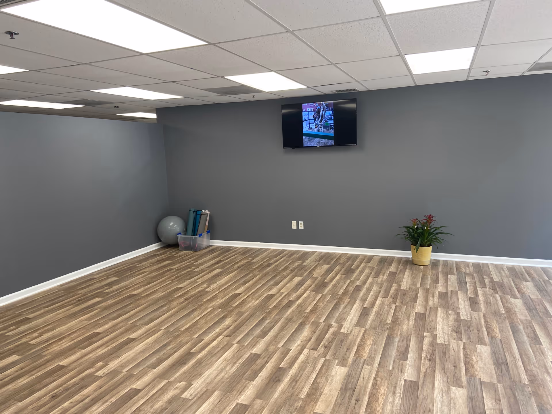 Empty activity room with gray walls, wood floor, wall-mounted TV, exercise ball, and plant.