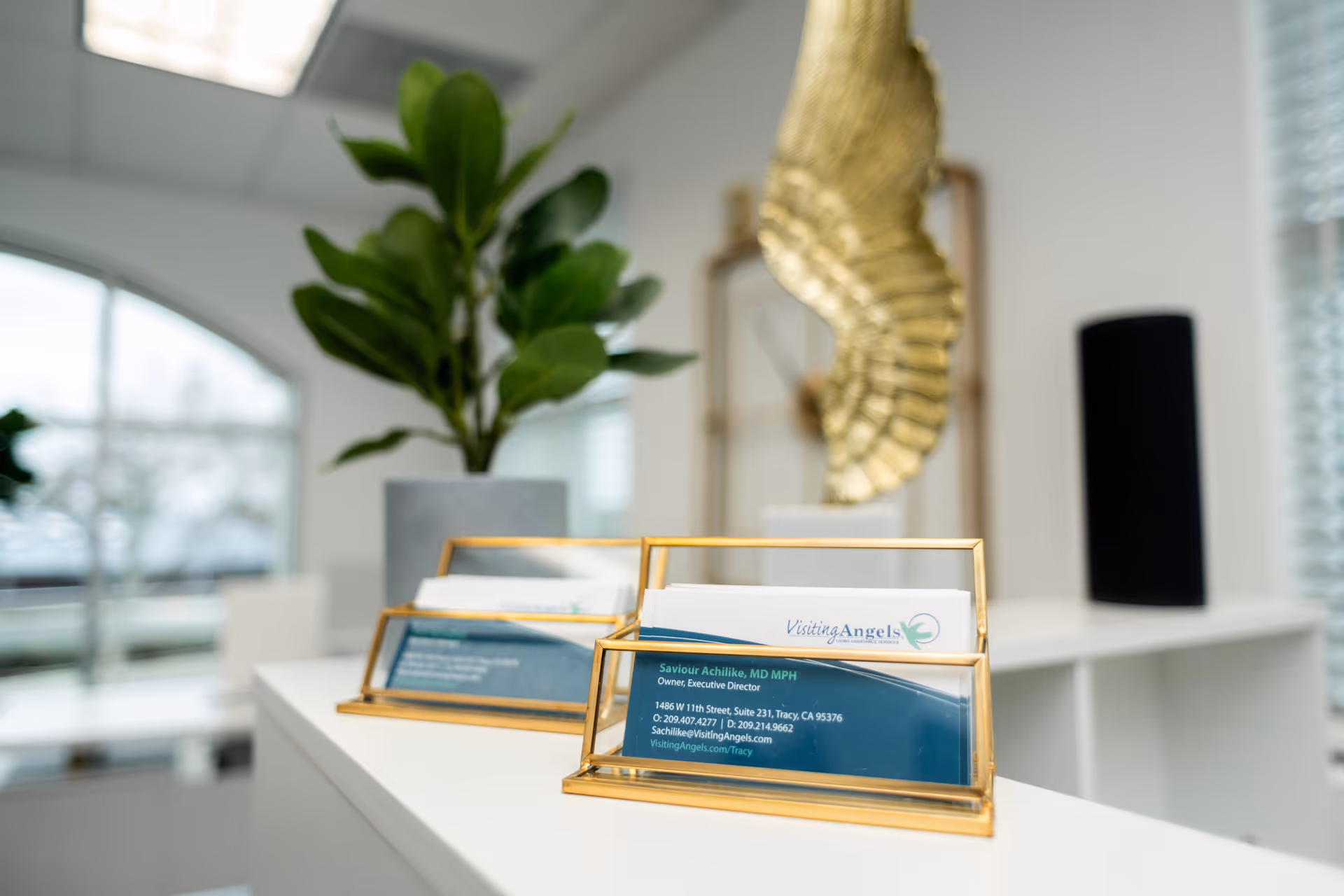 Sleek reception desk with gold card holders, a large green plant, and modern decor.