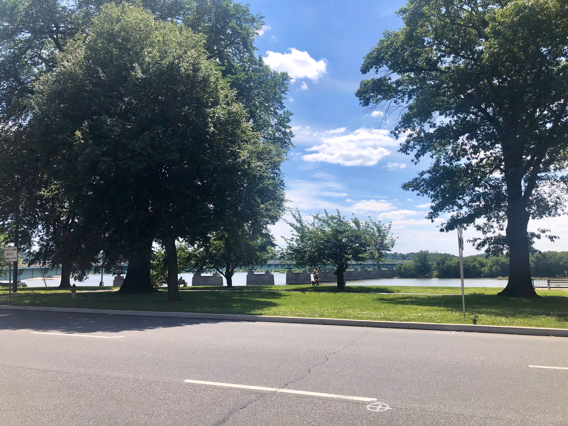 A sunny riverside park with large trees, a grassy area, and a road in foreground.