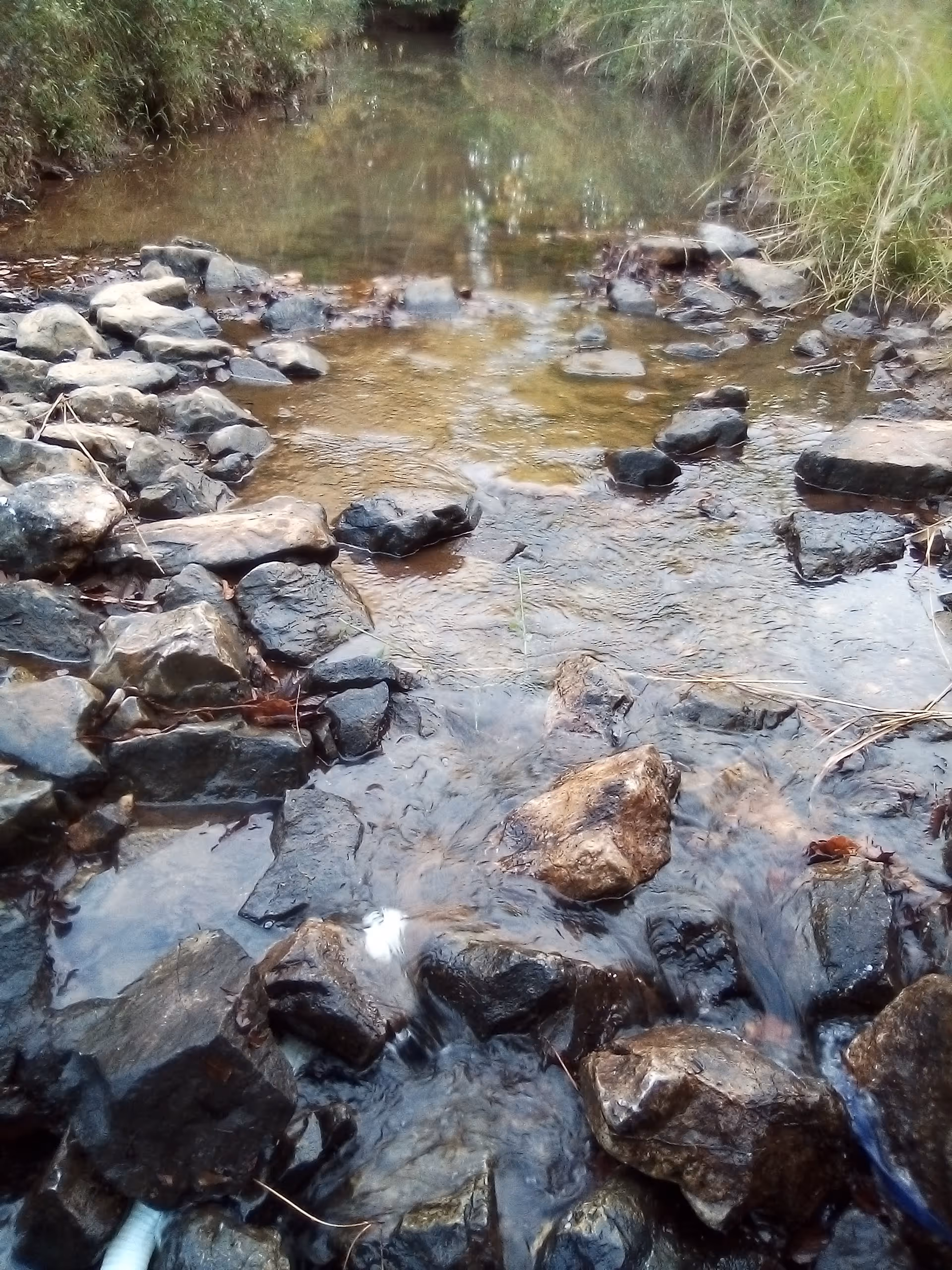 Rocks line a shallow creek with clear water in a natural outdoor setting.